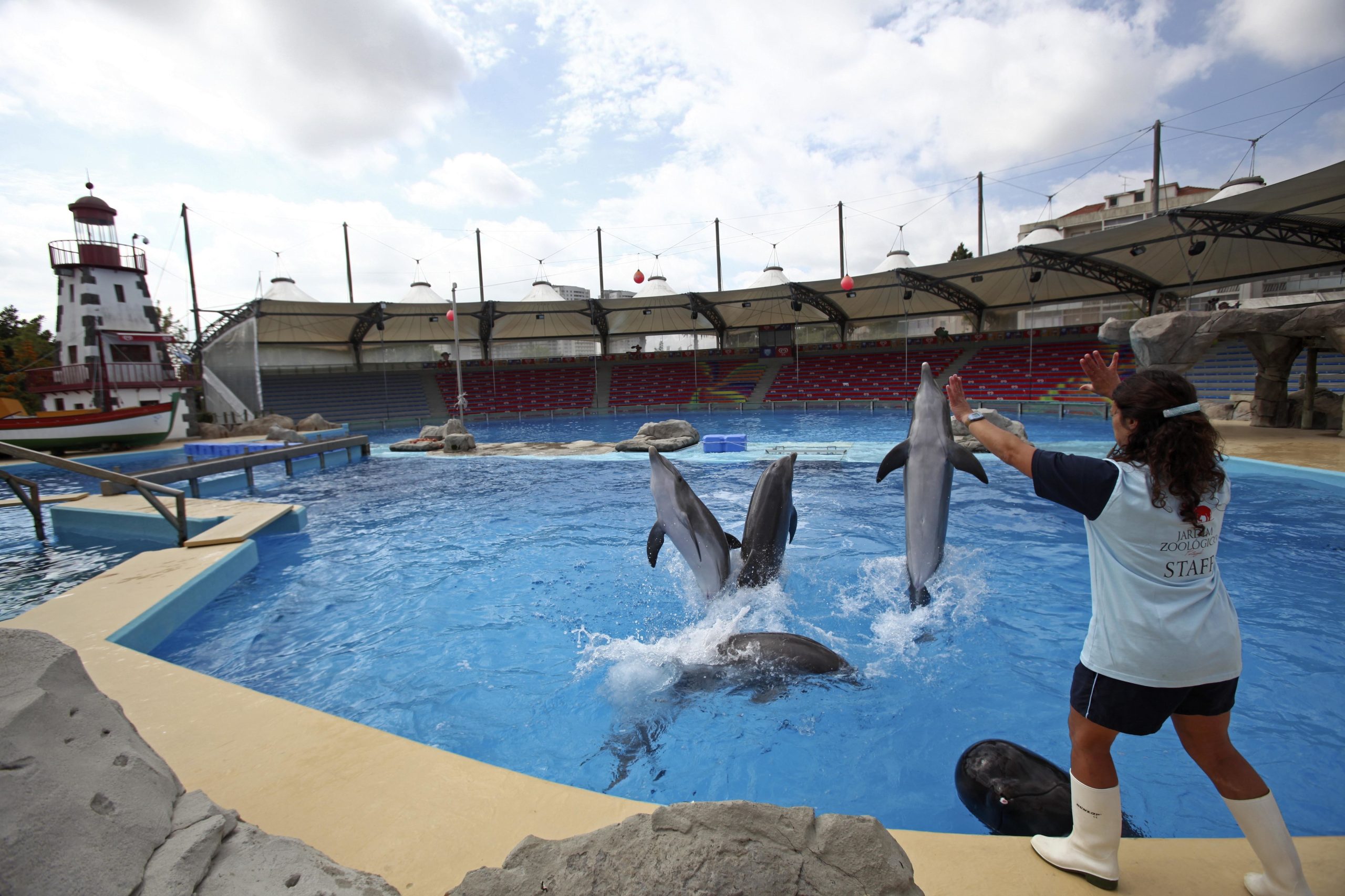 Jardim Zoológico dedica Dia Mundial da Vida Selvagem aos oceanos