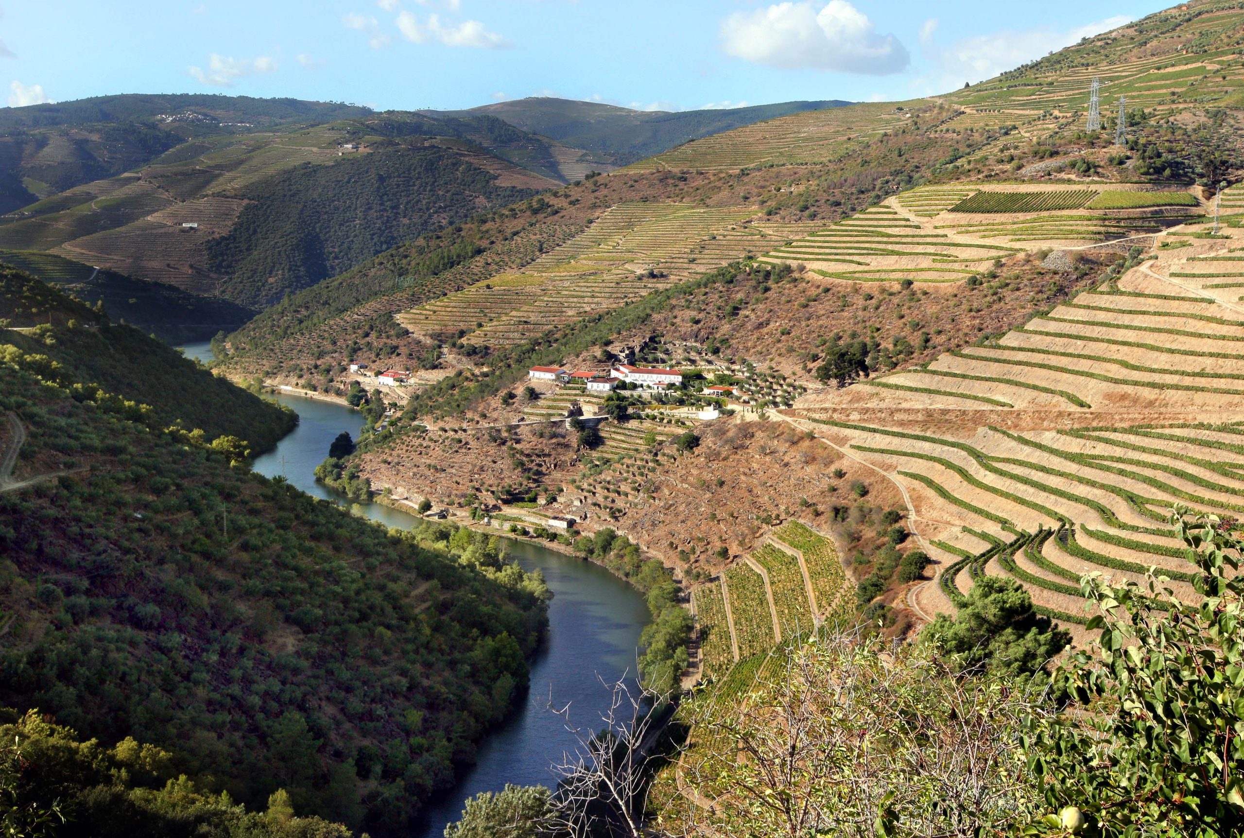 Governo acata sentença e devolve ao IVDP verba que Campelo atribuiu à Casa do Douro