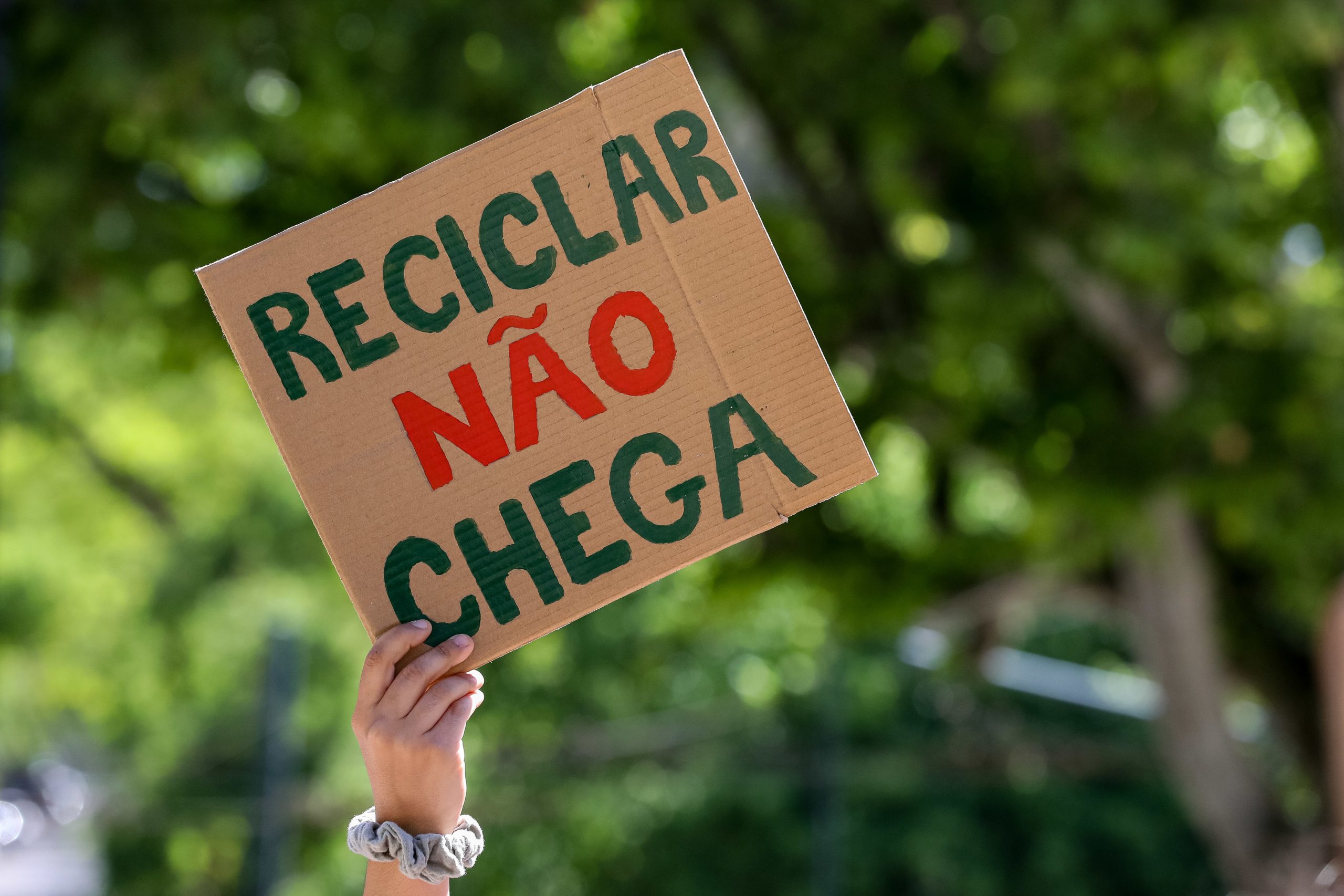 Eco-ansiedade existe e já há profissionais dedicados à questão em Portugal