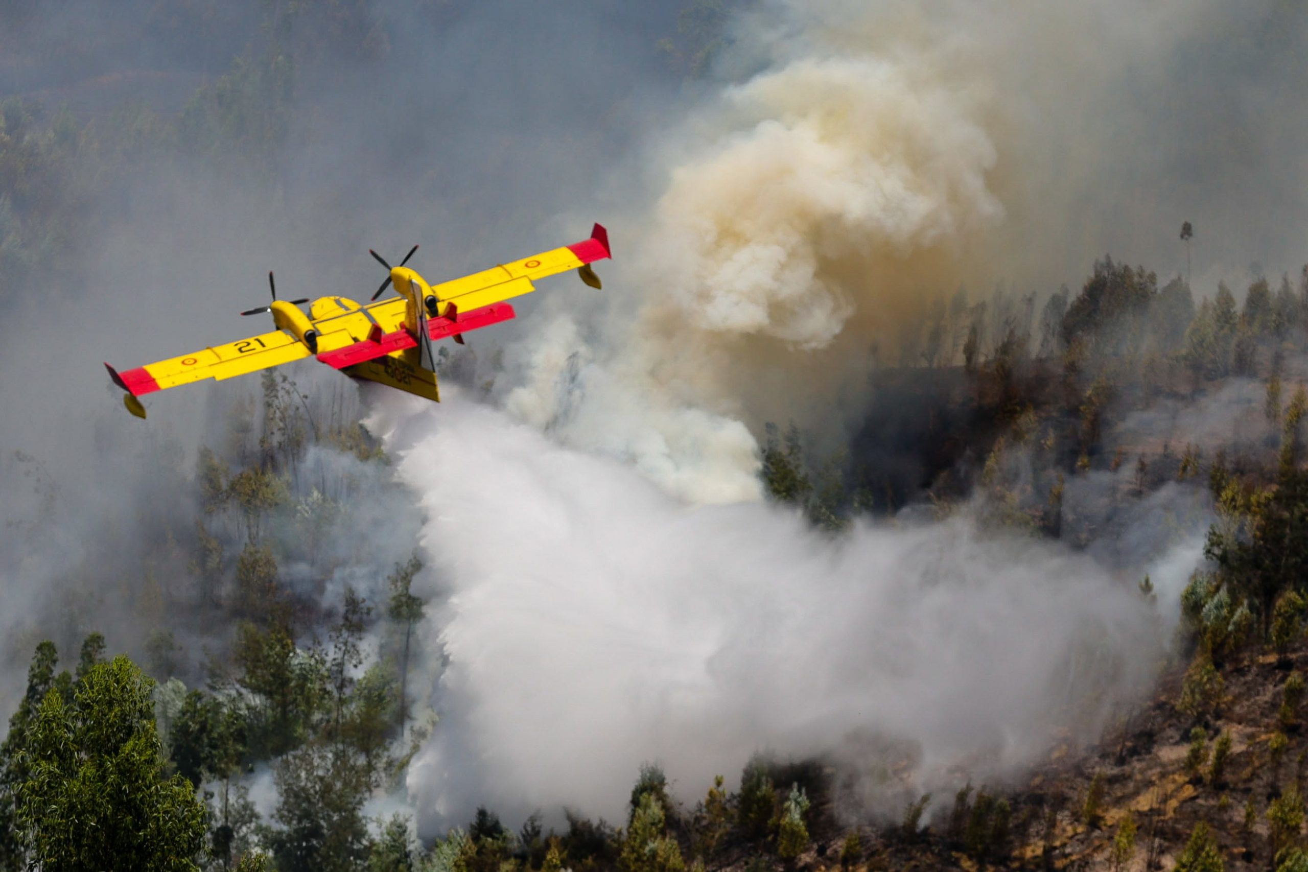 Incêndios: Quinze meios aéreos mobilizados para Vila Real, Santarém e Castelo Branco