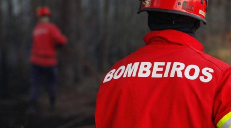 Incêndios: Fogo em Trancoso mobiliza mais de uma centena de operacionais