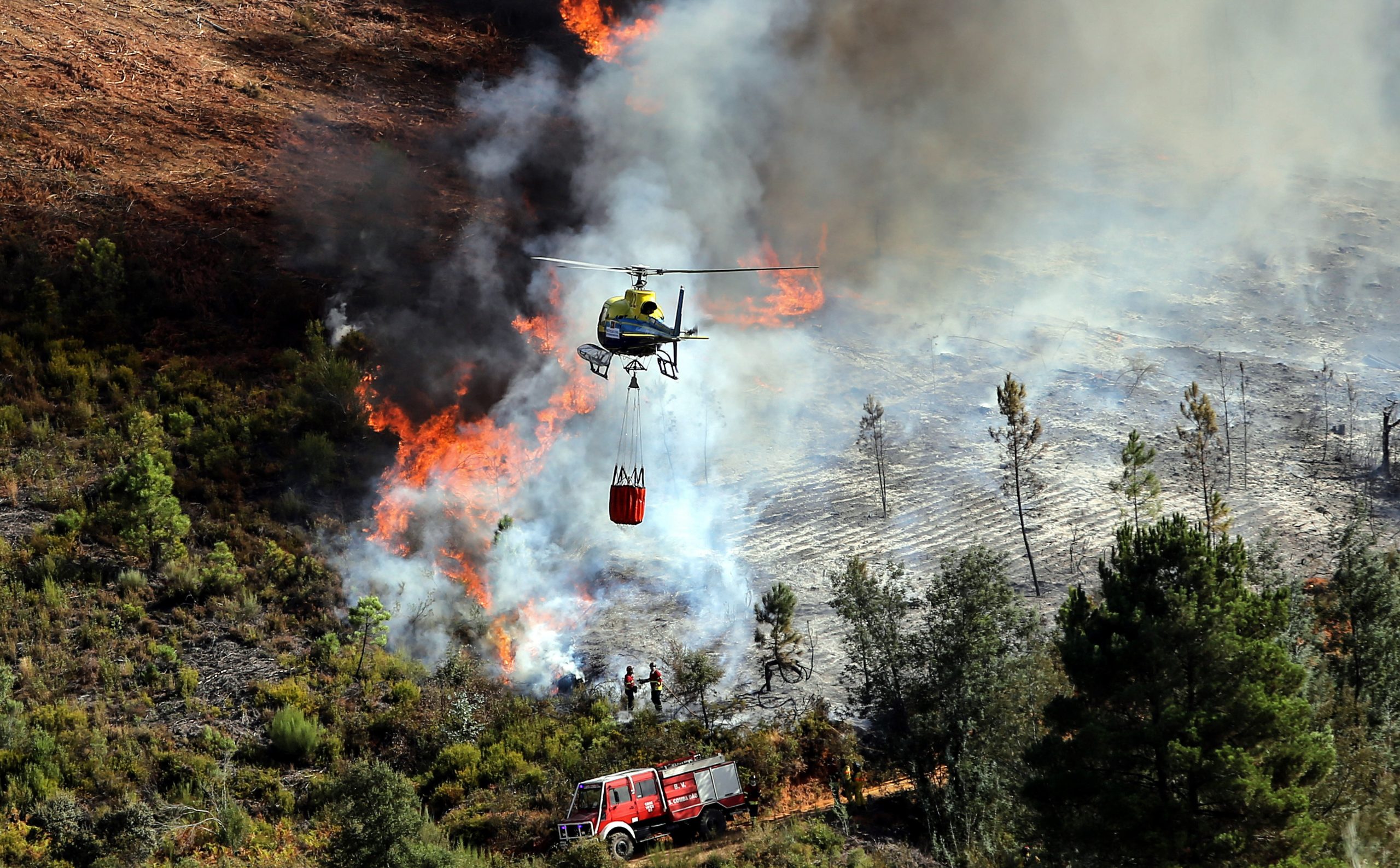 Incêndios em Covilhã, Fundão, Penafiel e Sertã considerados catástrofe natural