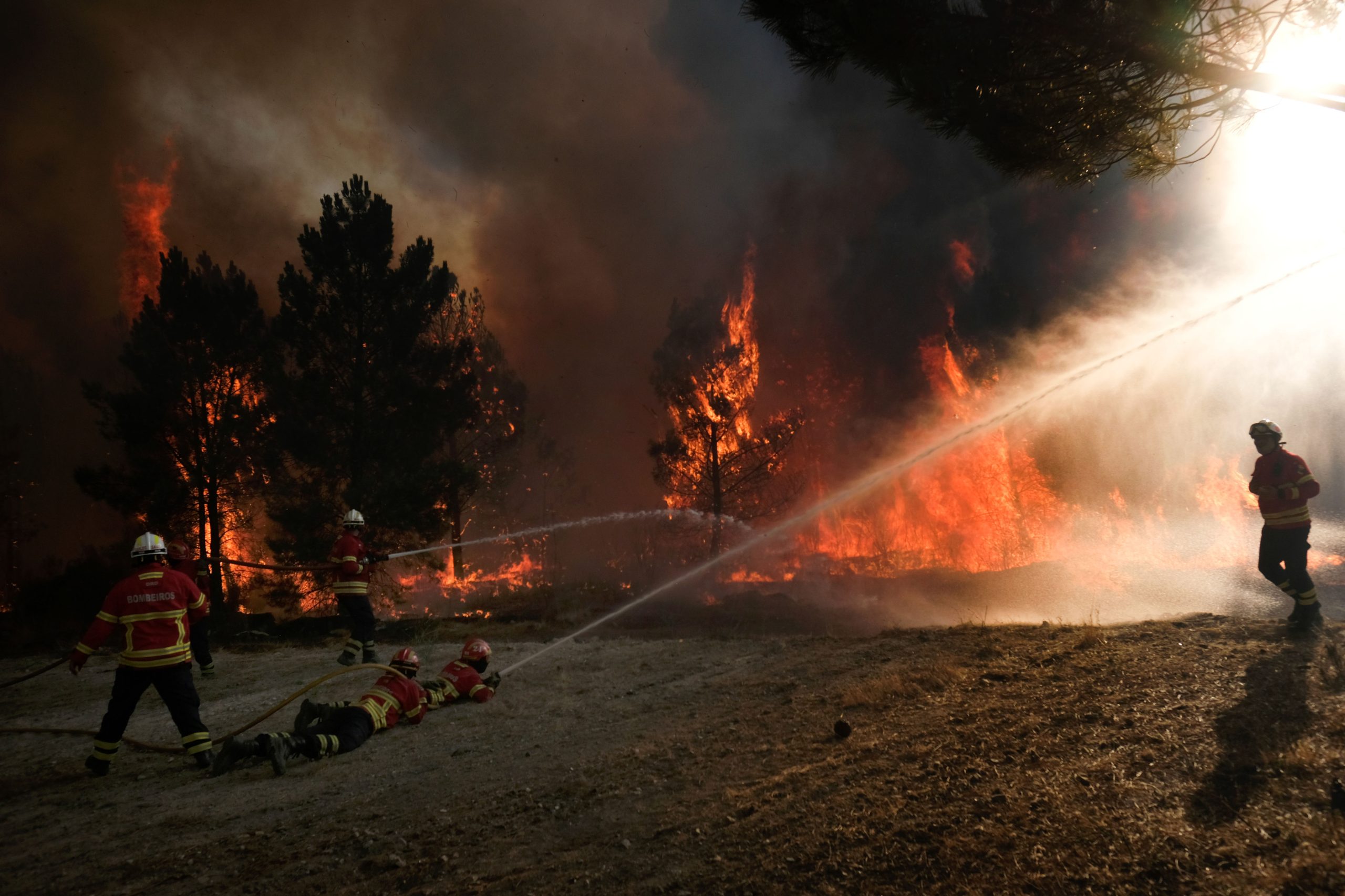 Incêndios: Aldeias evacuadas em Mação, chamas lavram sem controlo, diz autarca