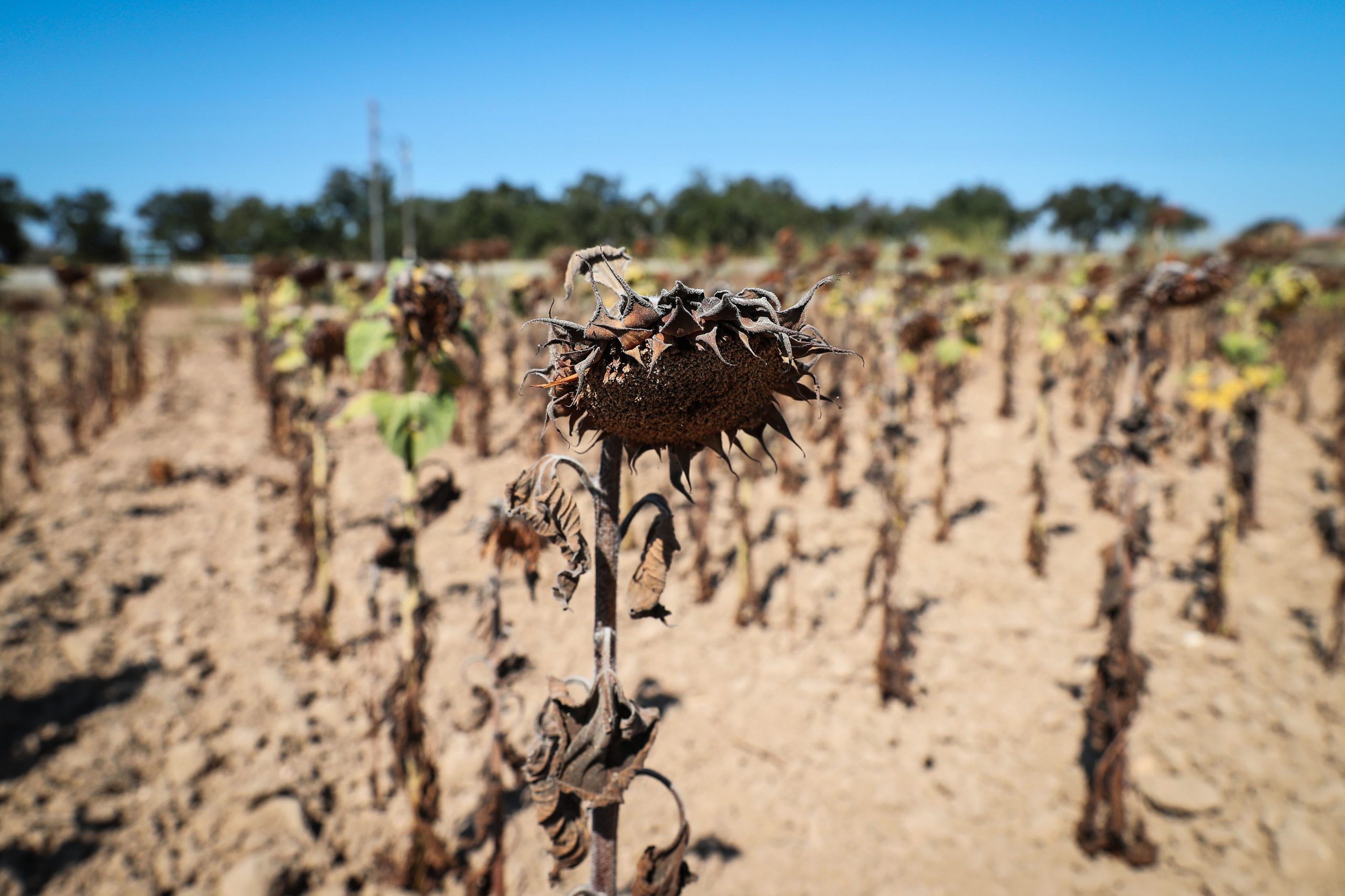 Desastres climáticos vão afetar 162 milhões de pessoas em 2030