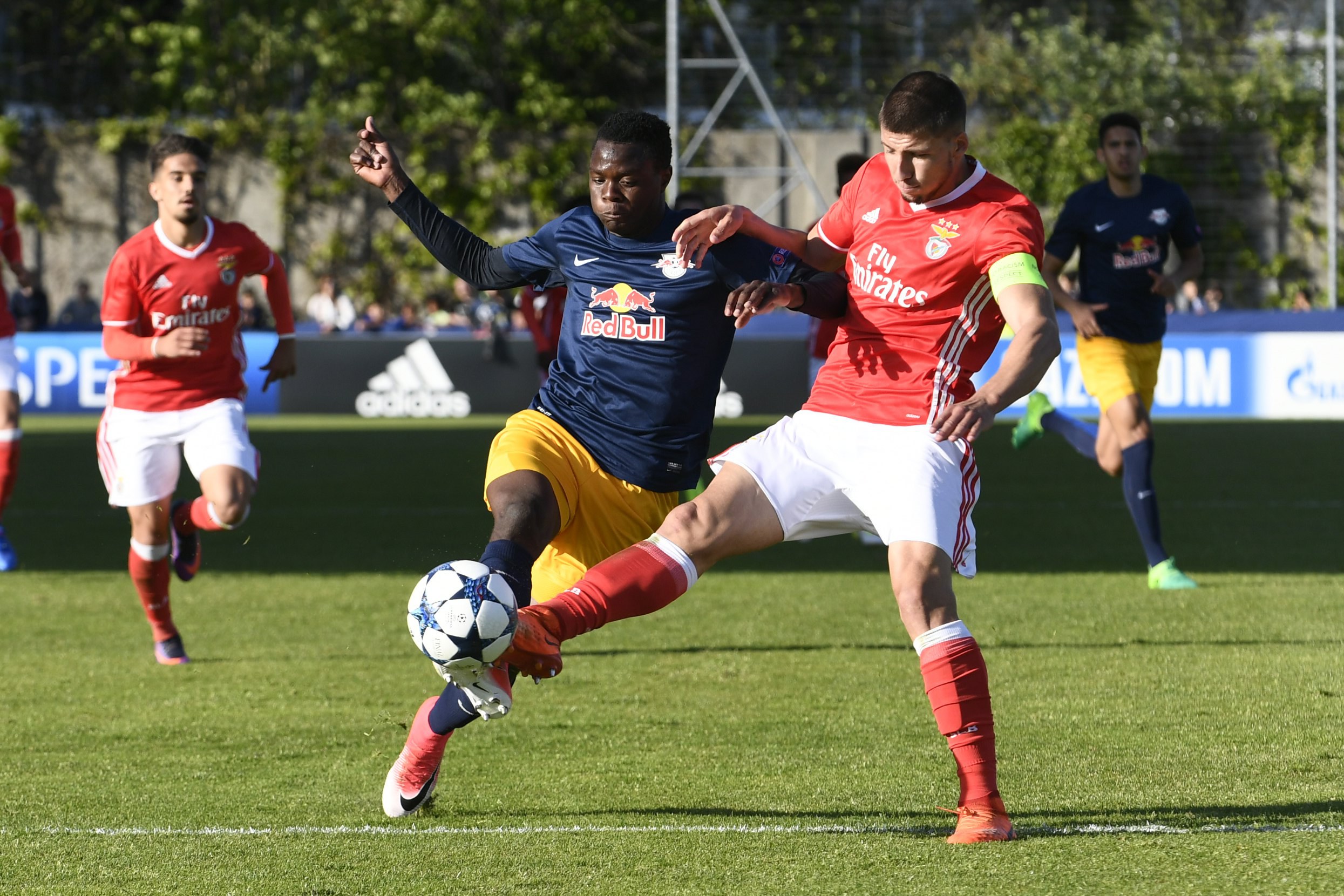 Willock e Rúben Dias entre os eleitos do Benfica para visita a Chaves