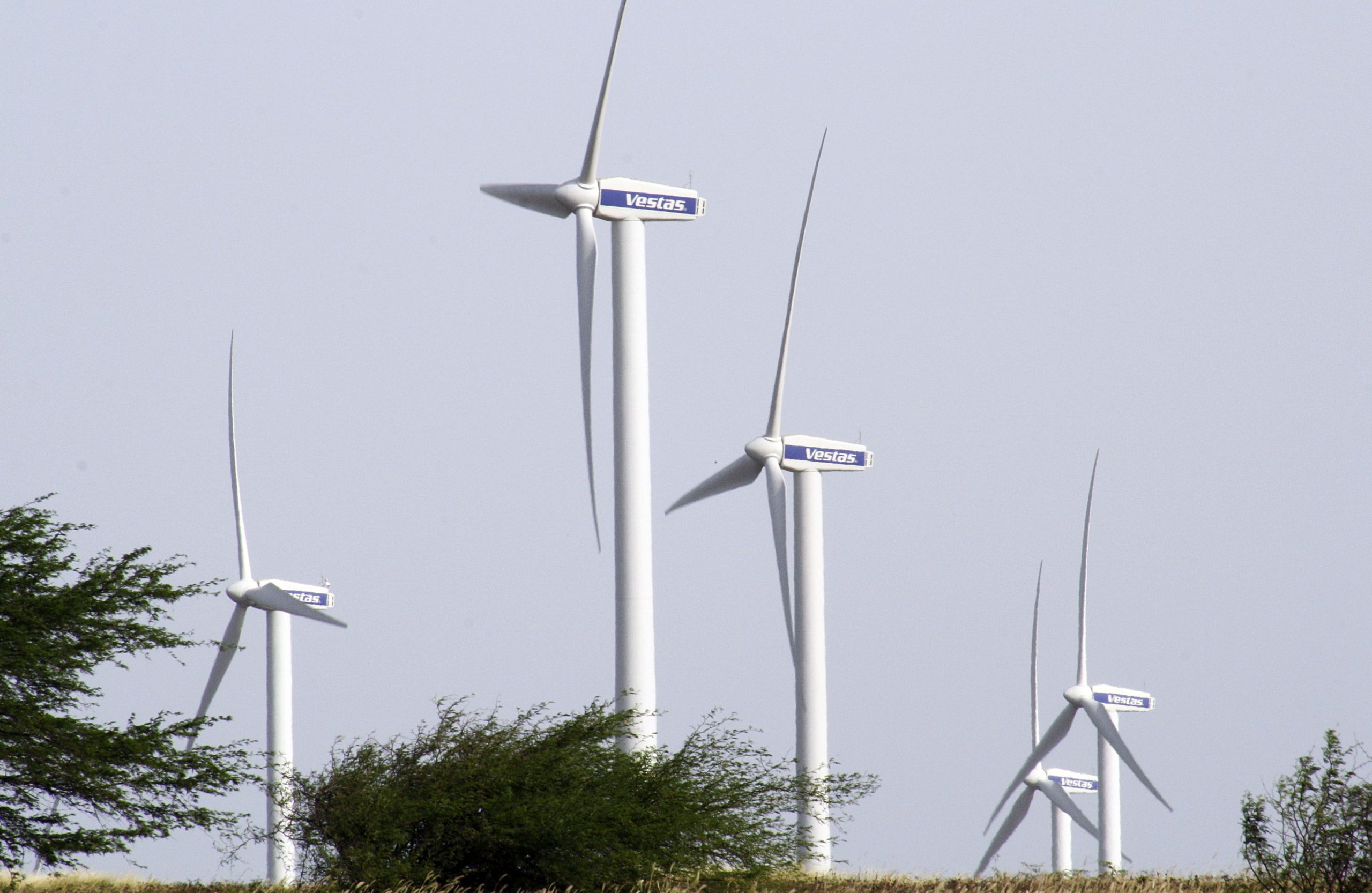Agência de Energia do Oeste admite alterar estatutos para evitar desconformidades