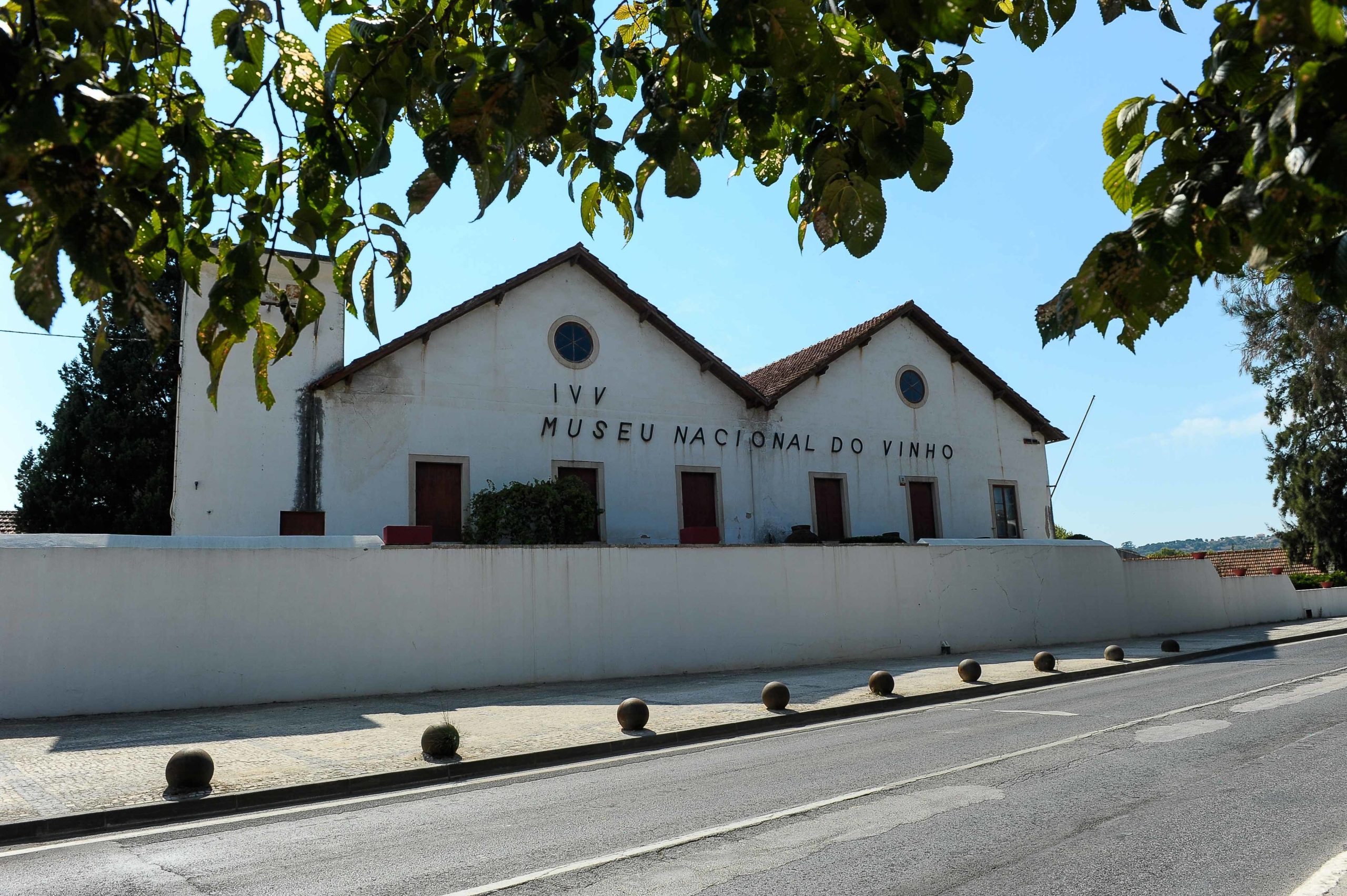 Museu do Vinho de Alcobaça bate recorde de visitantes em 2018
