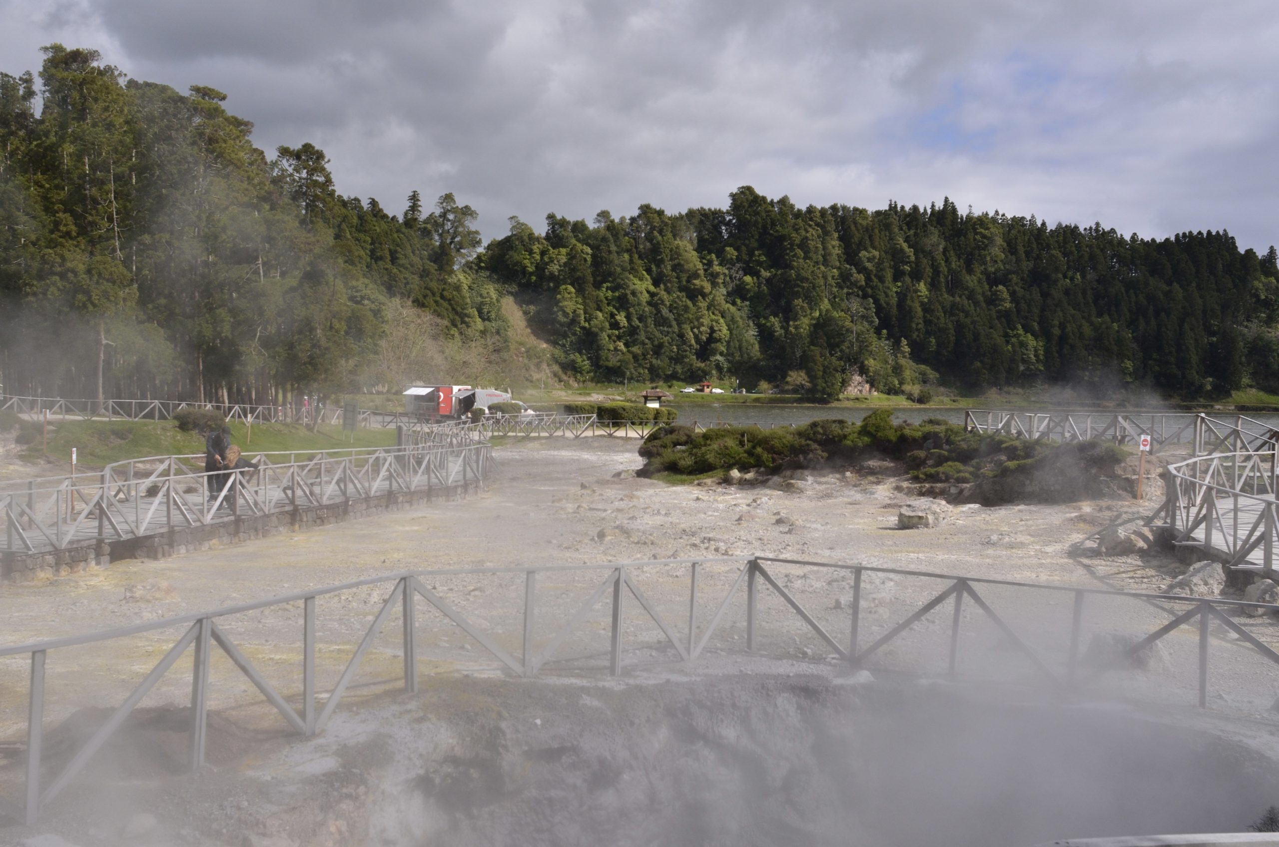 Açores vão ter primeiro parque de arvorismo nas Furnas