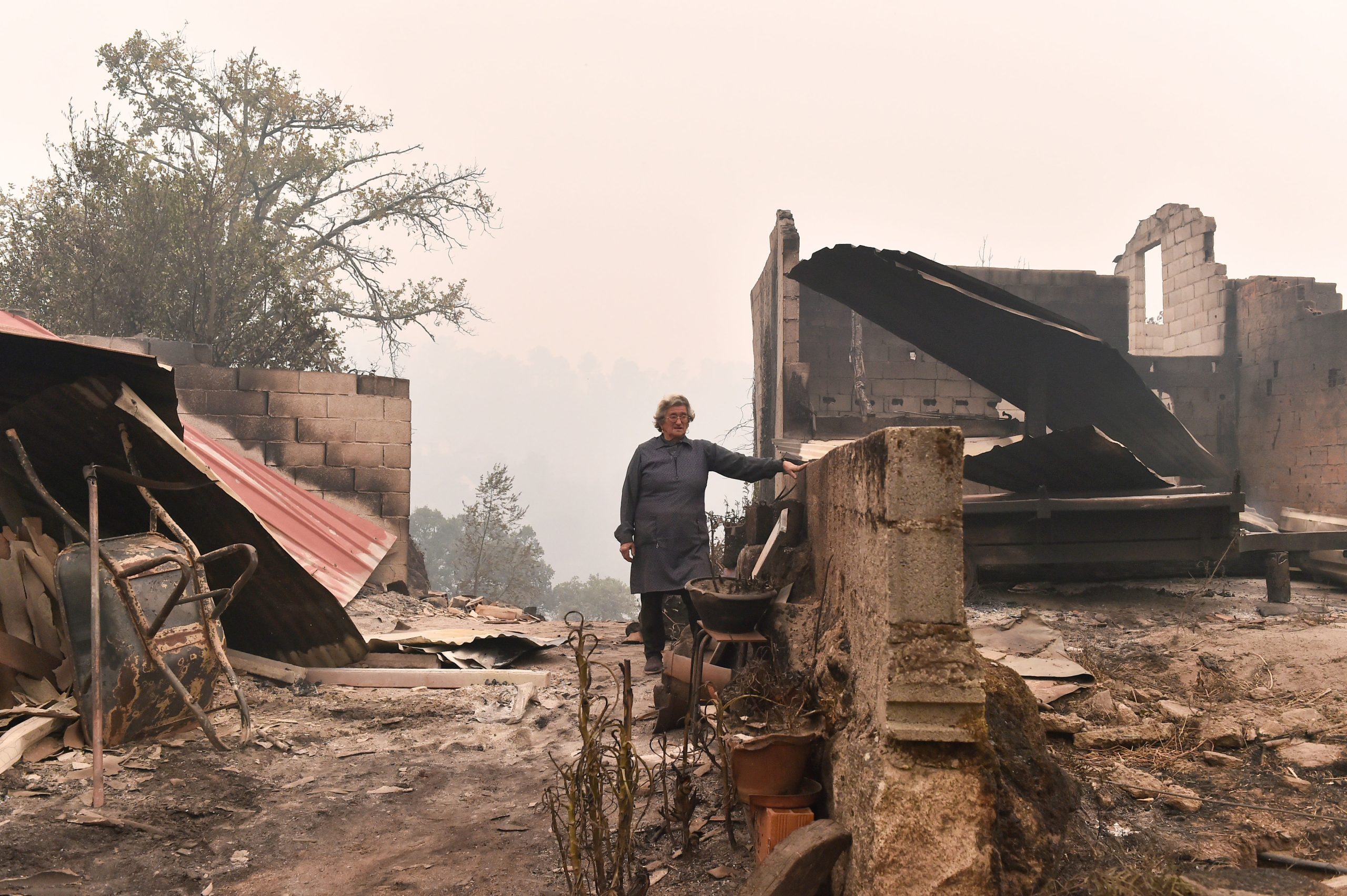 Incêndios: Calamidade vivida revela “povo incapaz de se governar”, diz bispo de Viseu
