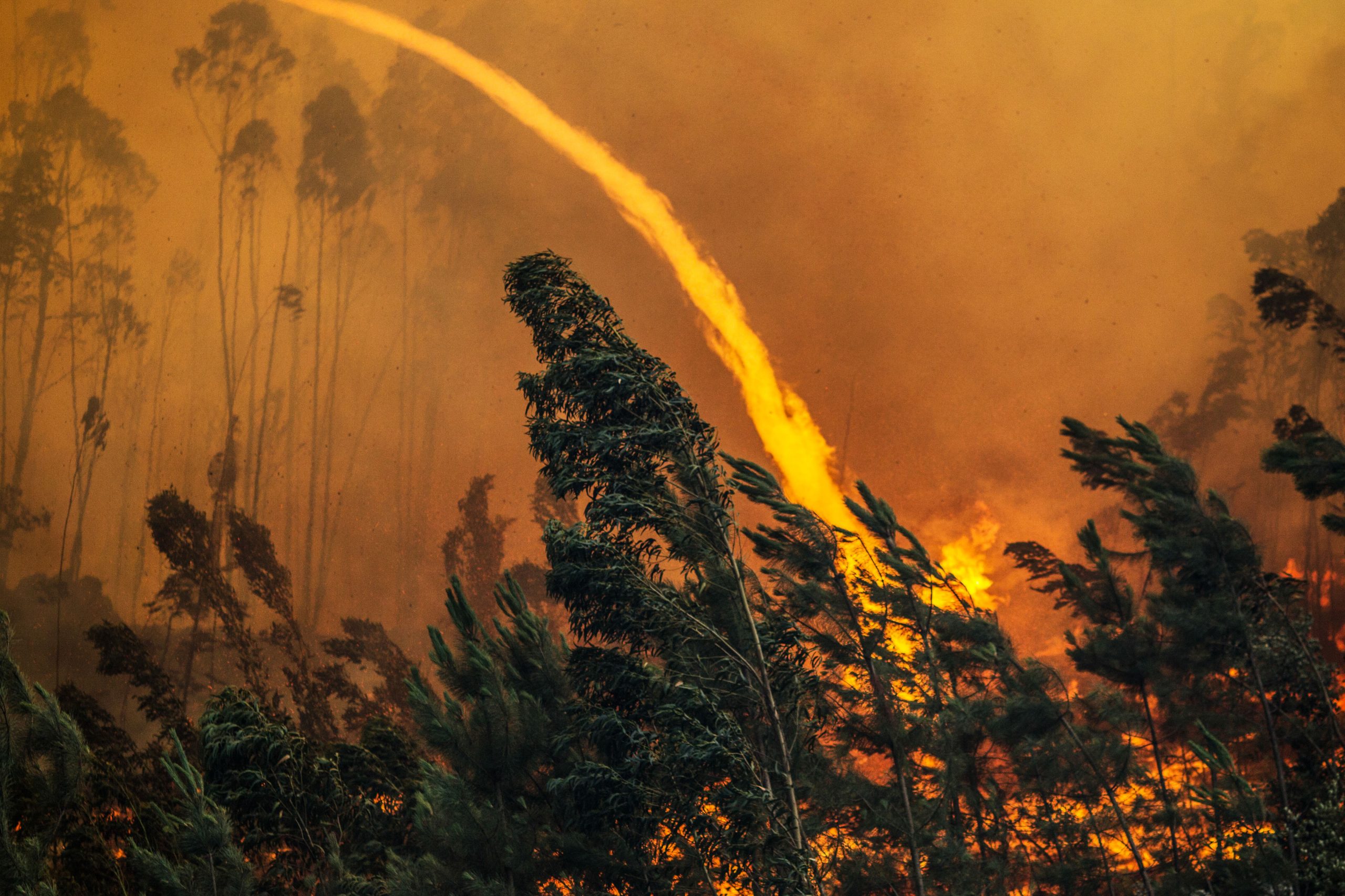 Dominado fogo em Alvaiázere, no distrito de Leiria
