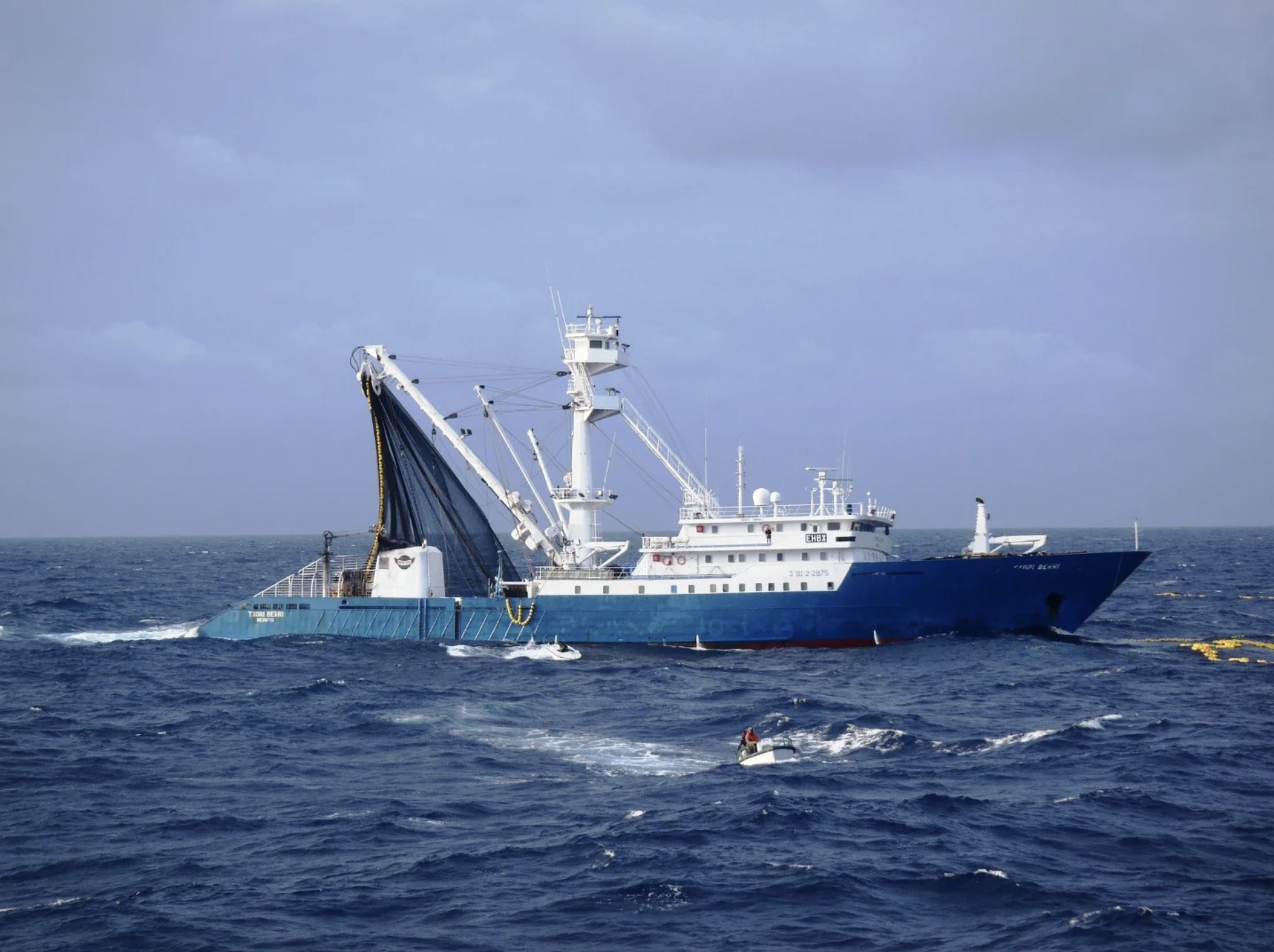 Podemos confiar na IA para proteger os oceanos?