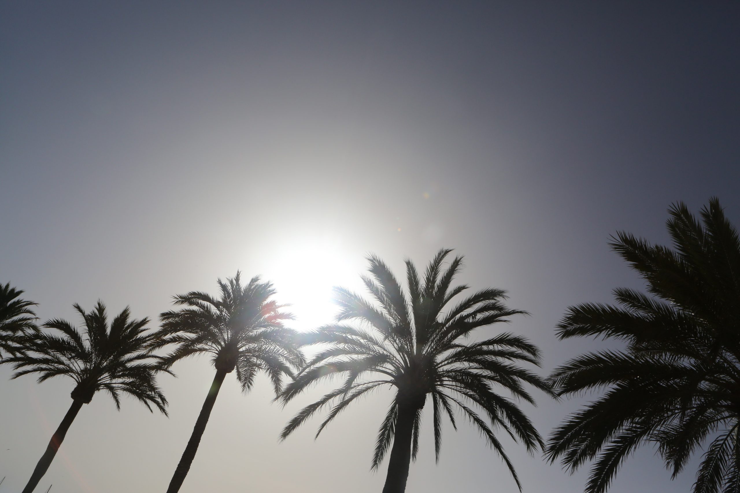 Oito distritos em aviso amarelo. Temperaturas sobem devido a massa de calor do norte de África