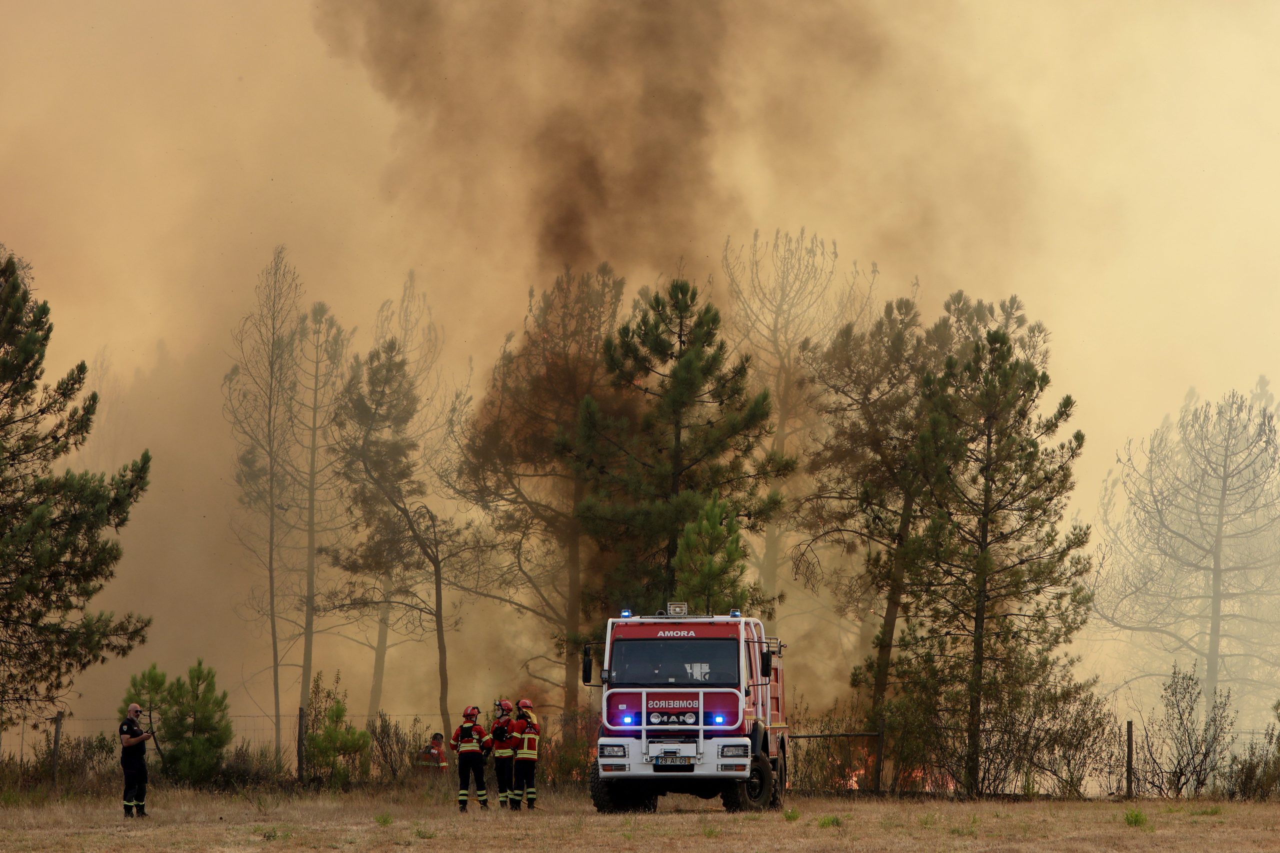 Fogo causou prejuízos de 5,5 milhões e destruiu 5.315 hectares em Proença-a-Nova