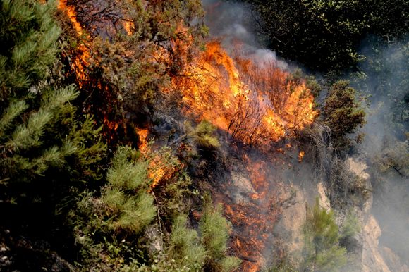 Reativado fogo no parque Peneda Gerês
