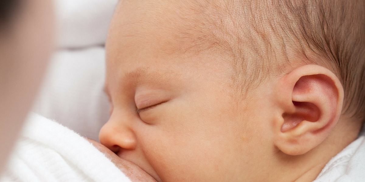 Dois milhões de bebés lusófonos salvos por tecnologia brasileira de Bancos de Leite Humano