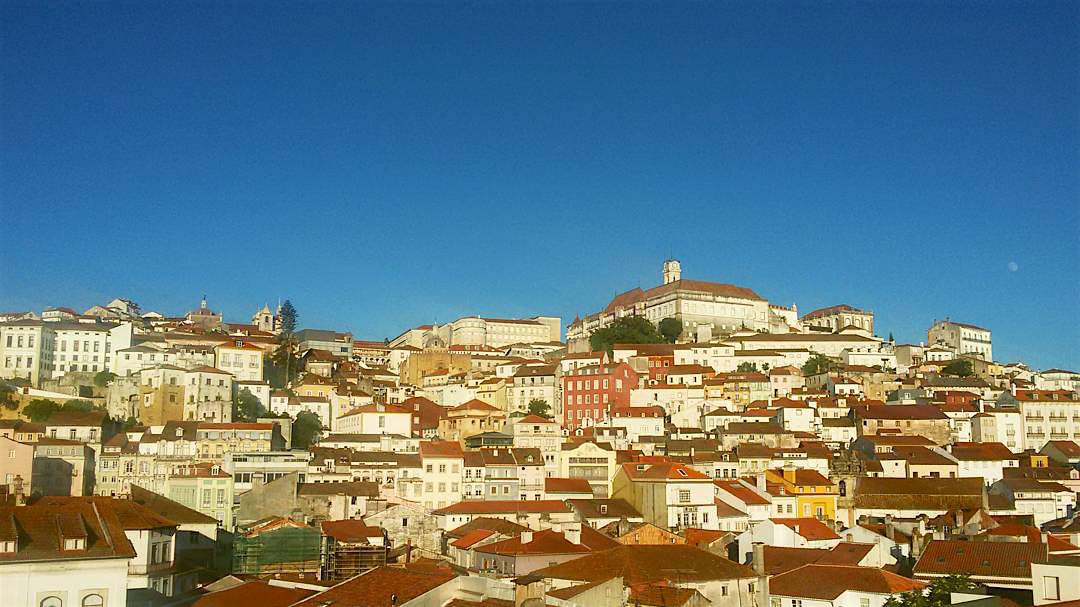 Cidadãos por Coimbra quer potenciar uso da bicicleta na cidade