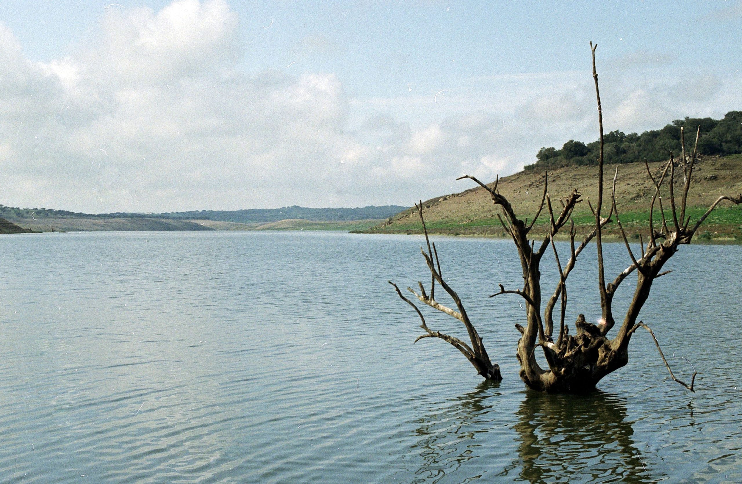 Mau tempo: Barragem do Maranhão em Avis estava a 40% e encheu em dois dias