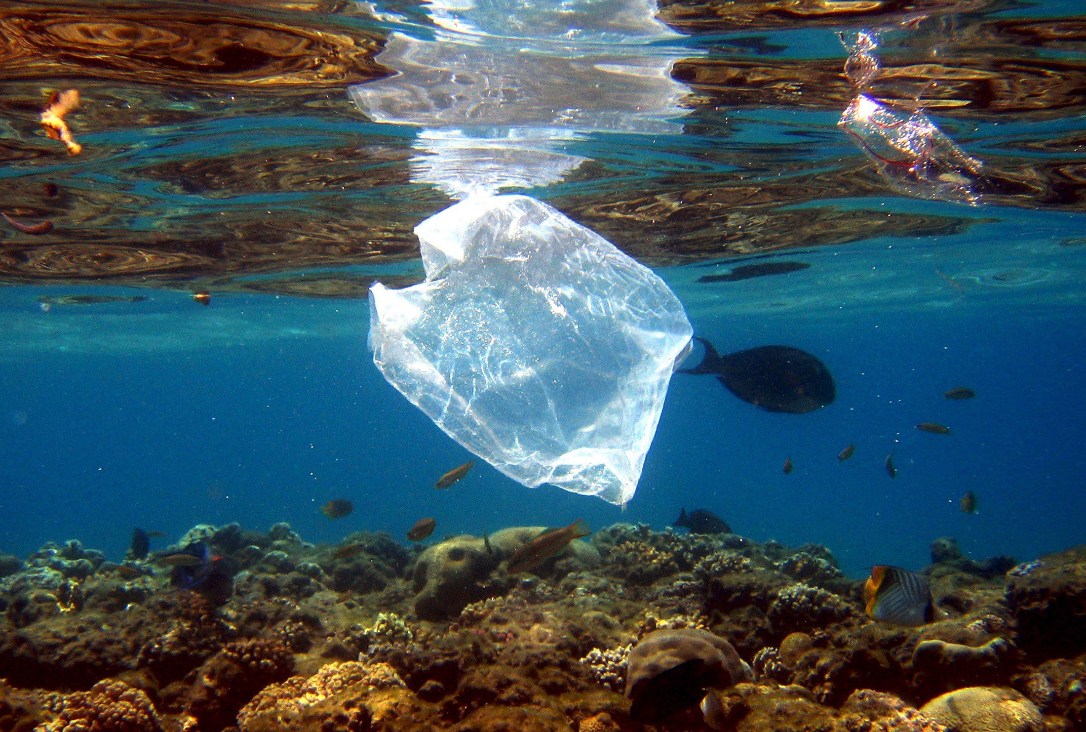 Startup cria saco para lavar roupa que evita envio de microplásticos para oceanos