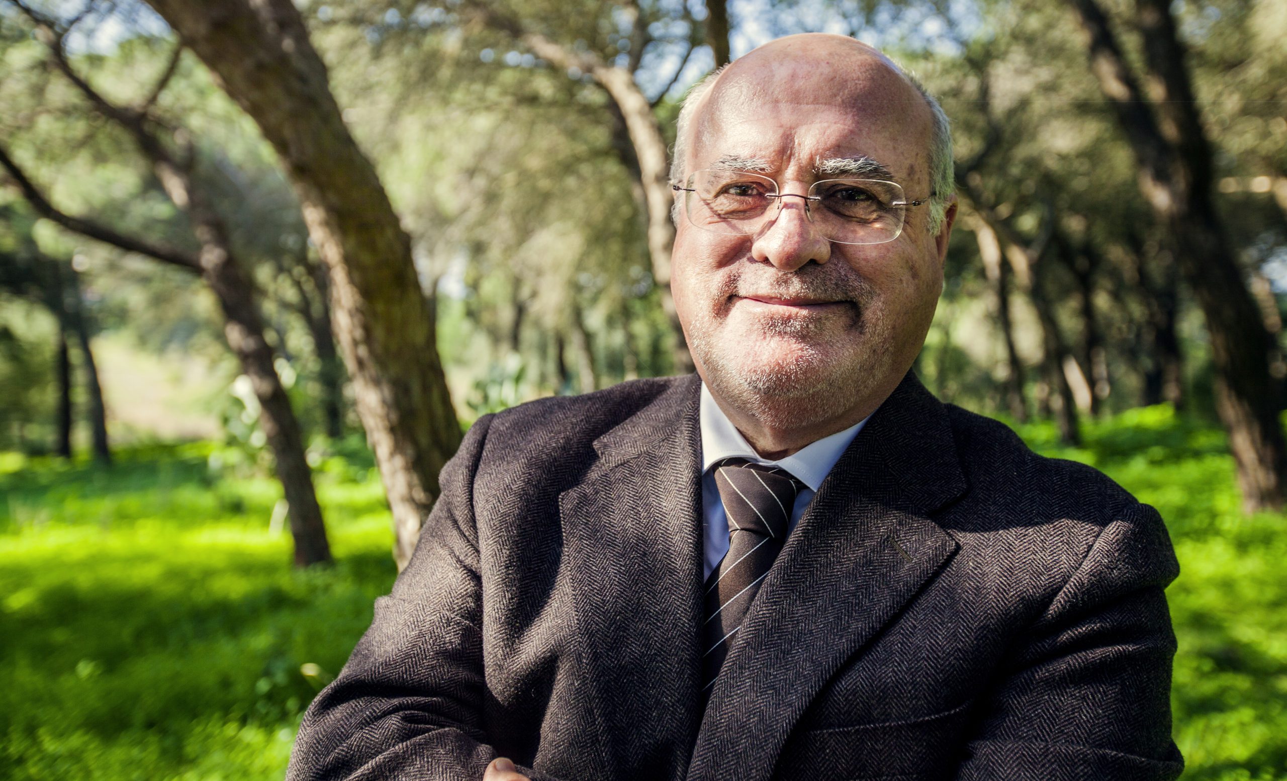 OE2018: Negociações podem resultar em acréscimo de 30 ME para a floresta, diz Capoulas Santos