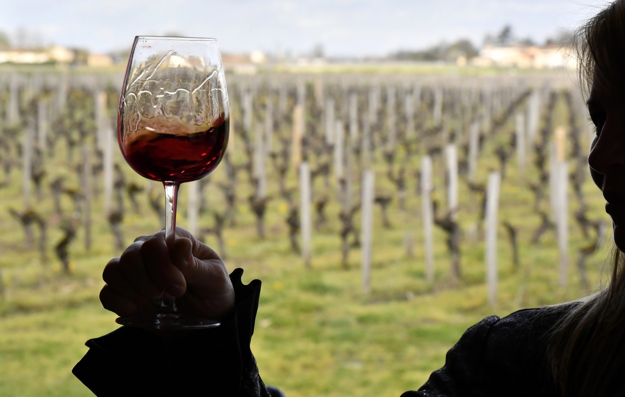 Portugal passa a celebrar o Dia Nacional da Vinha e do Vinho a 31 de julho