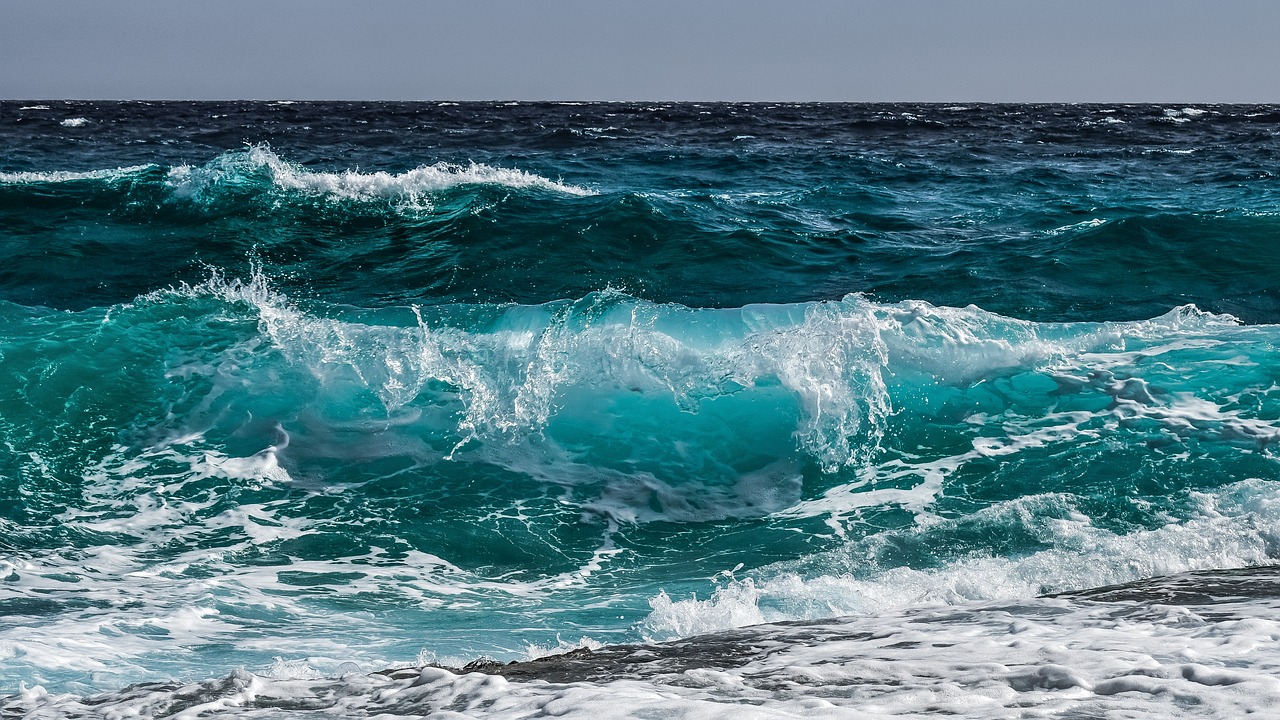 “SeaTheFuture” aposta na proteção dos oceanos para “fazer parte da solução”
