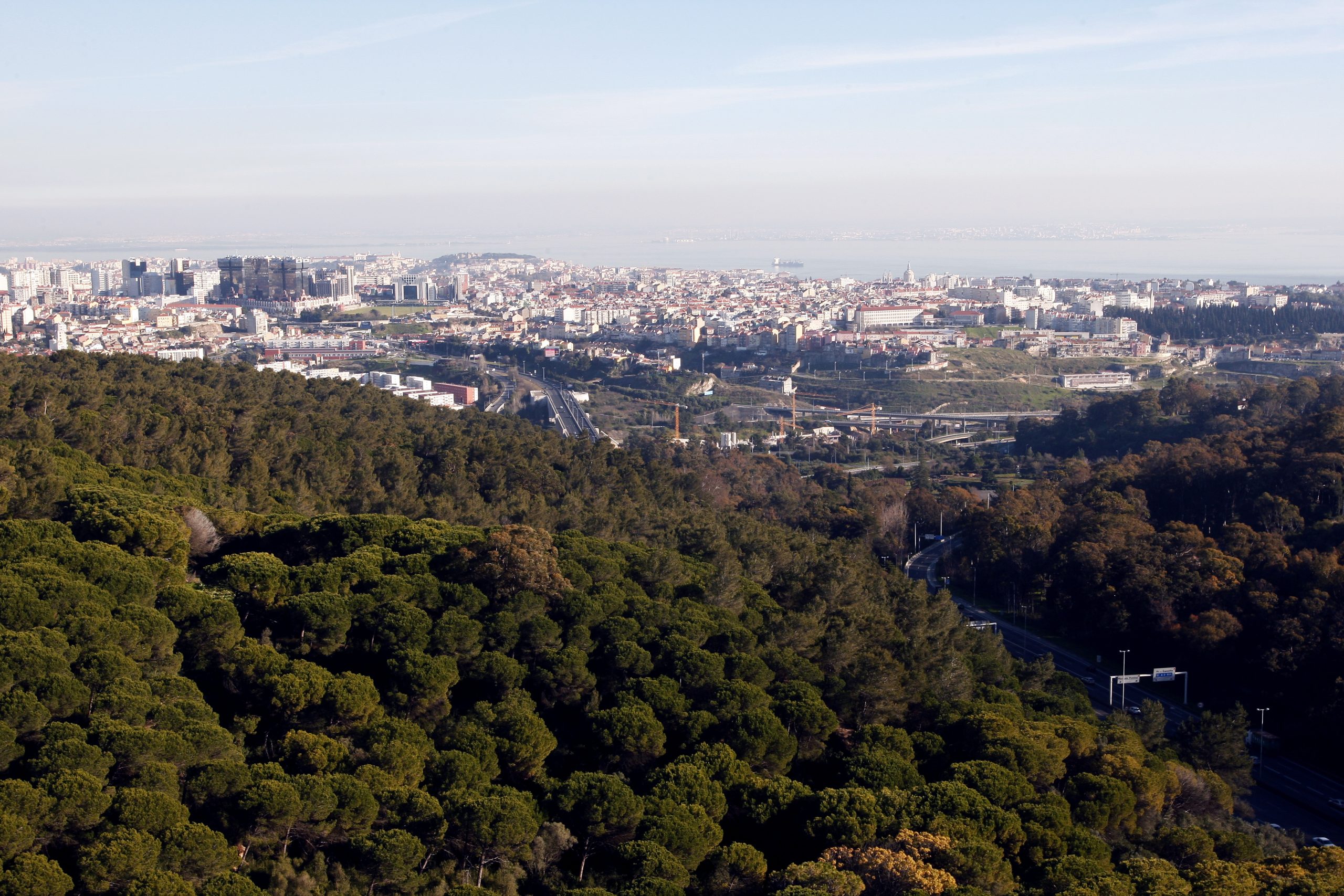 Monsanto e outros parques de Lisboa encerram por risco de incêndio