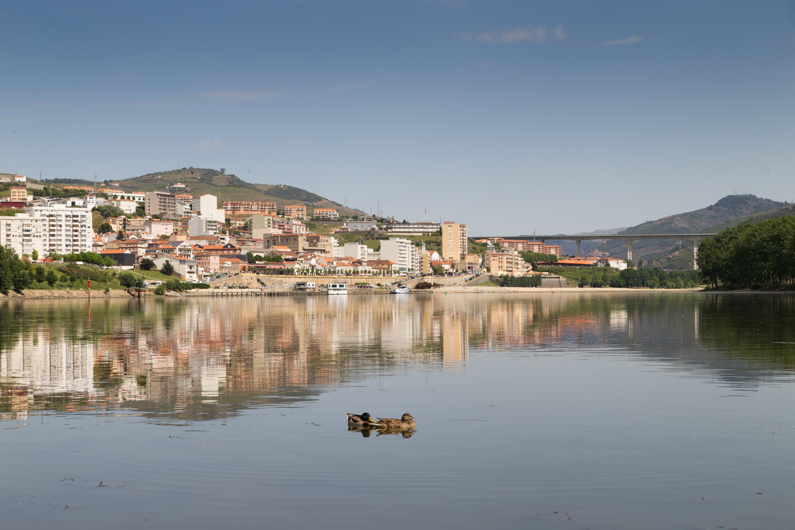 Mundial EnduroGP: Motas fazem pó no Douro Vinhateiro