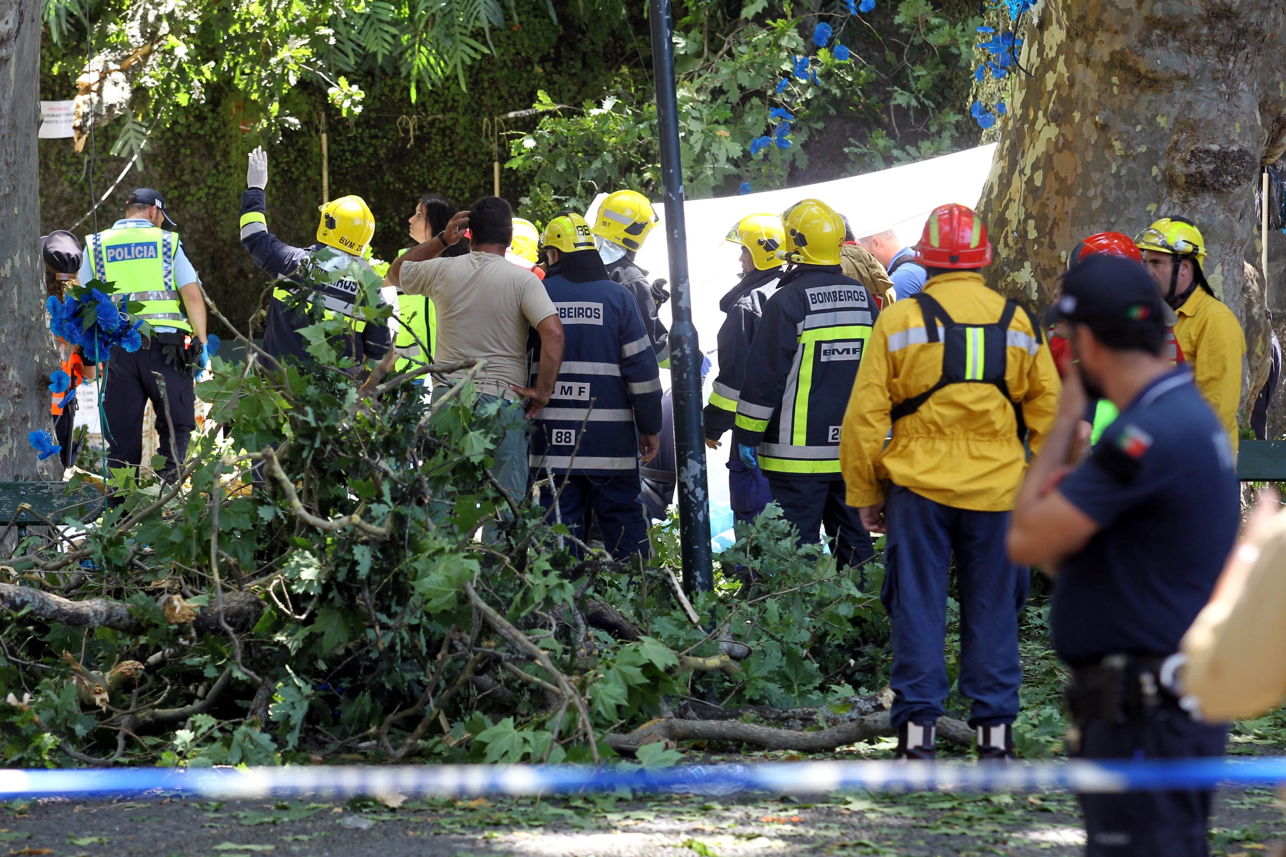 Madeira: MP requere julgamento de vereadora e funcionário por queda de árvore no Monte