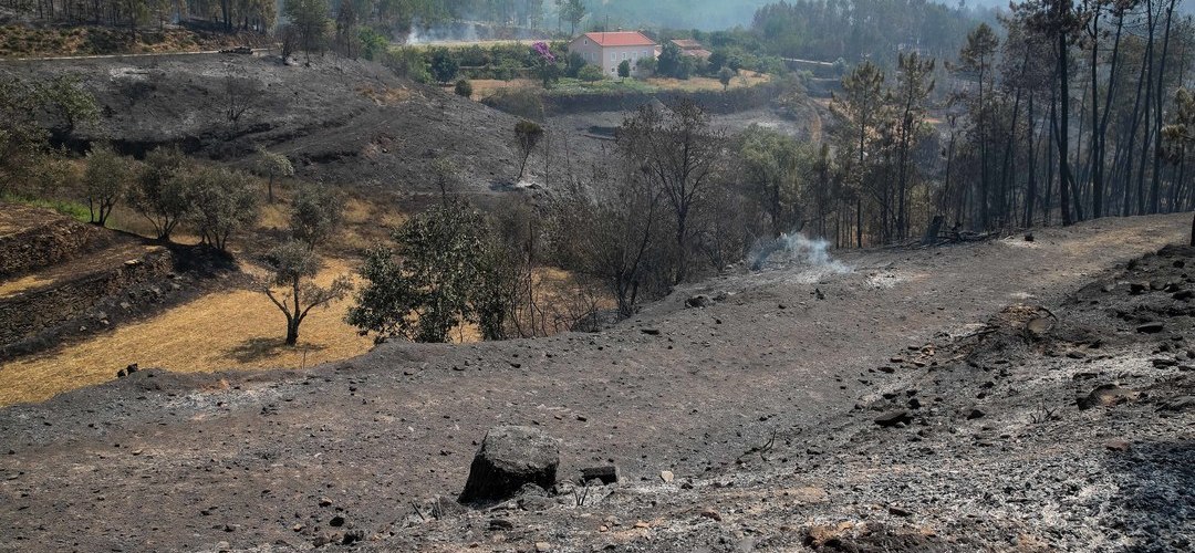 Incêndios: Autarca de Oleiros critica Governo por não indemnizar família de trabalhador que morreu
