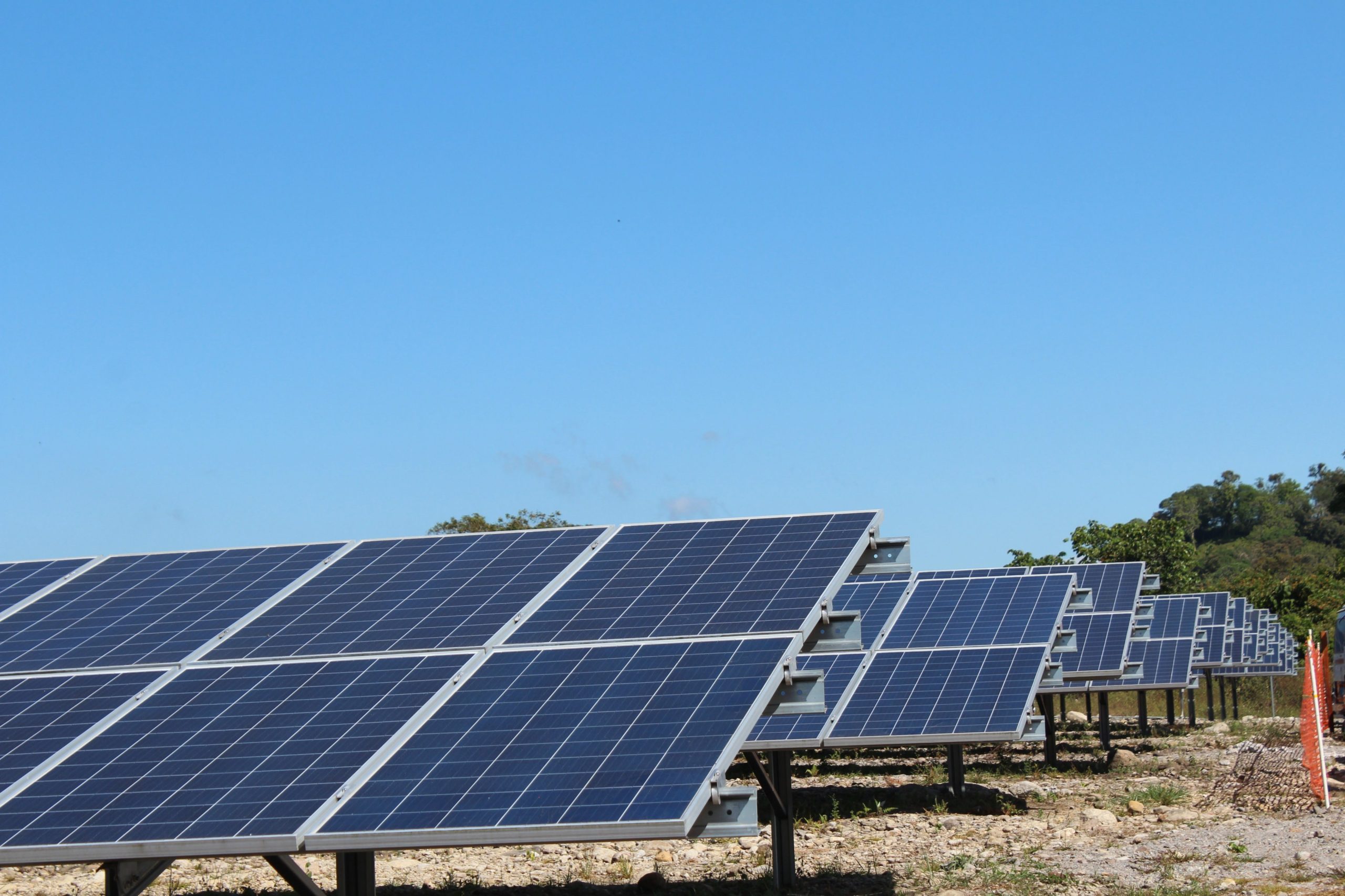 Fotovoltaicas: Amnistia Internacional diz que Governo não é transparente com as populações