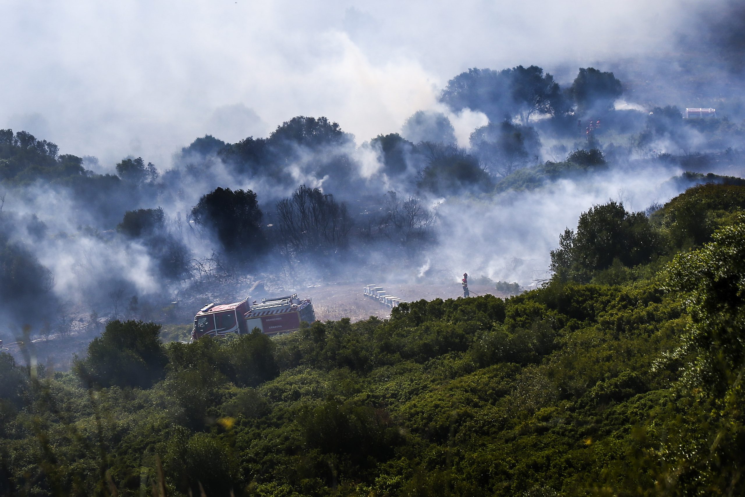 Incêndio: Fogo em Sintra foi dominado
