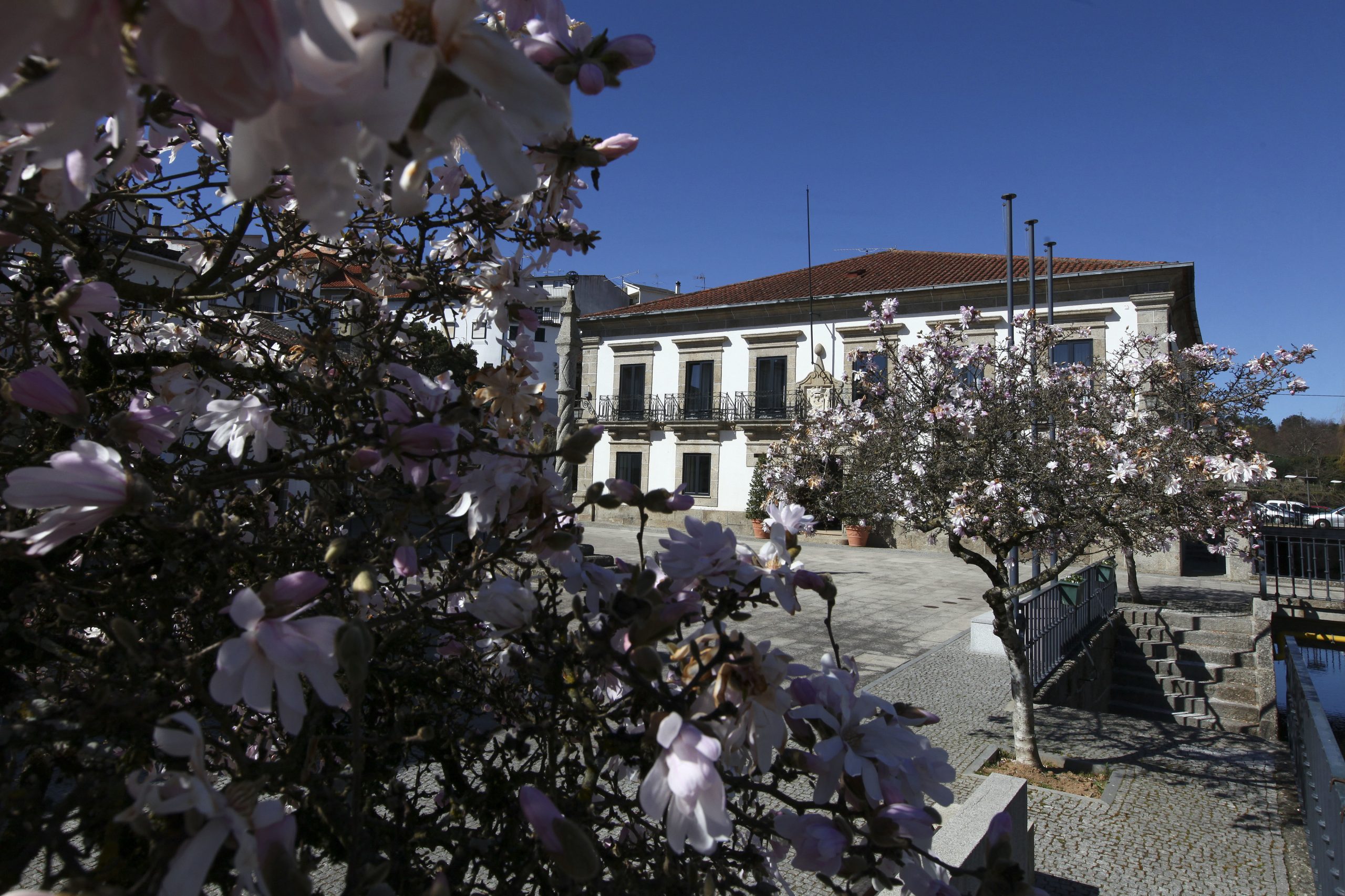 Autarca de Santa Comba Dão quer criar um centro interpretativo do Estado Novo