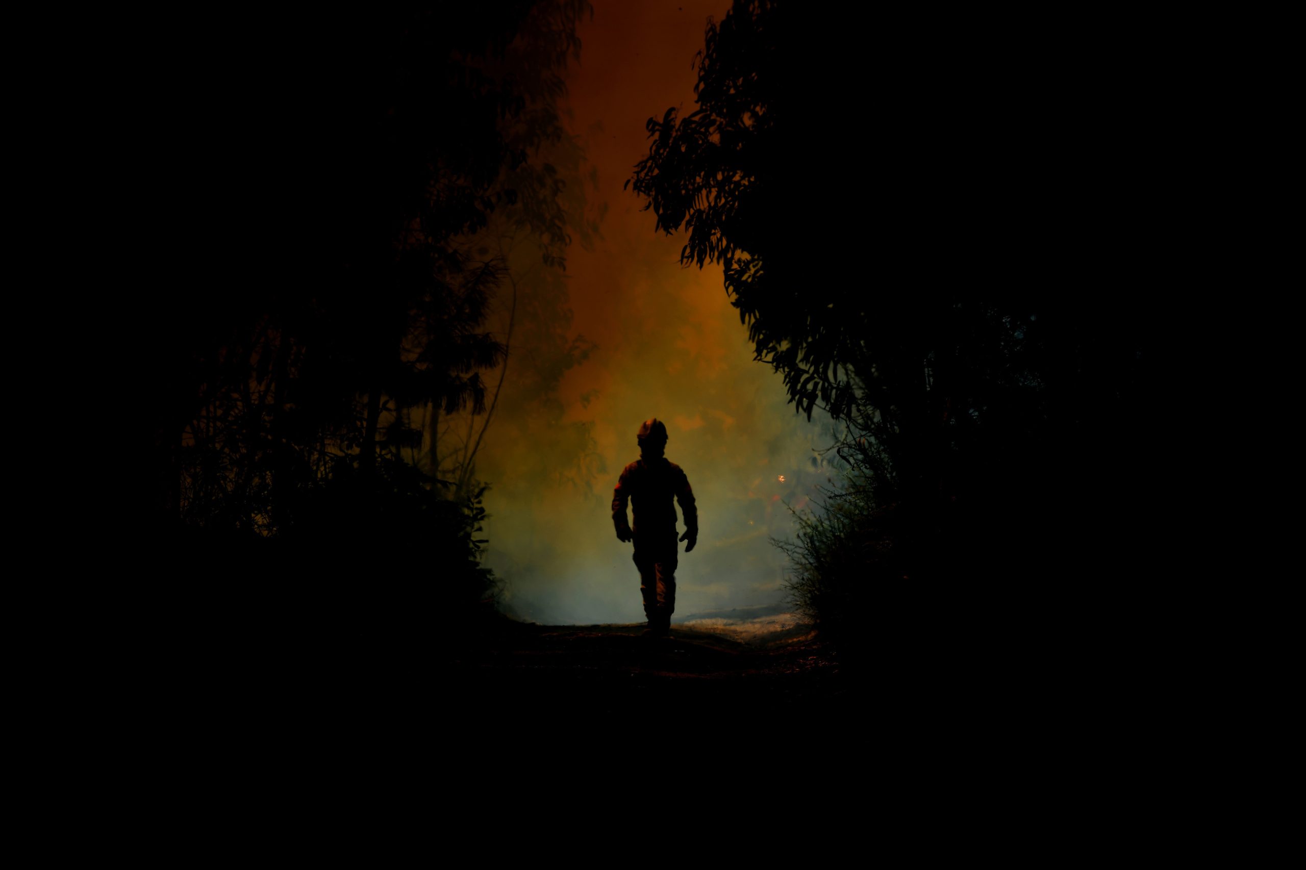 Incêndios: Fogo de Ourique com uma frente ativa
