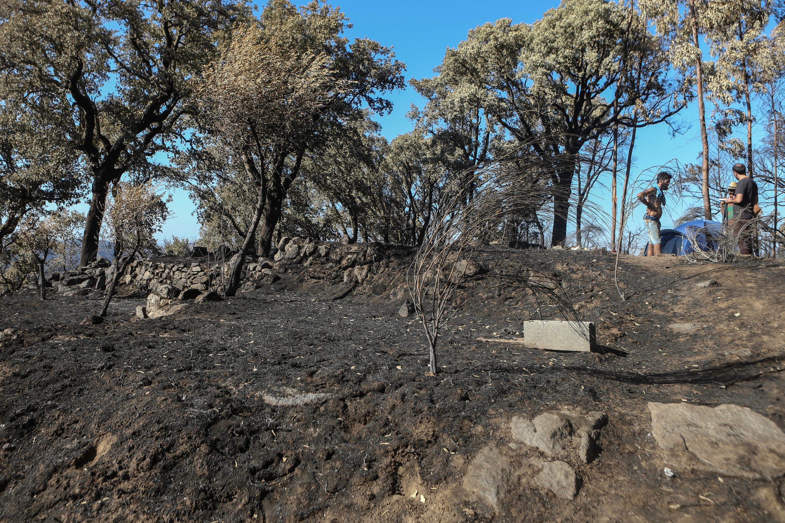 Tanque de água salvou a vida de João, um “veterano dos incêndios”