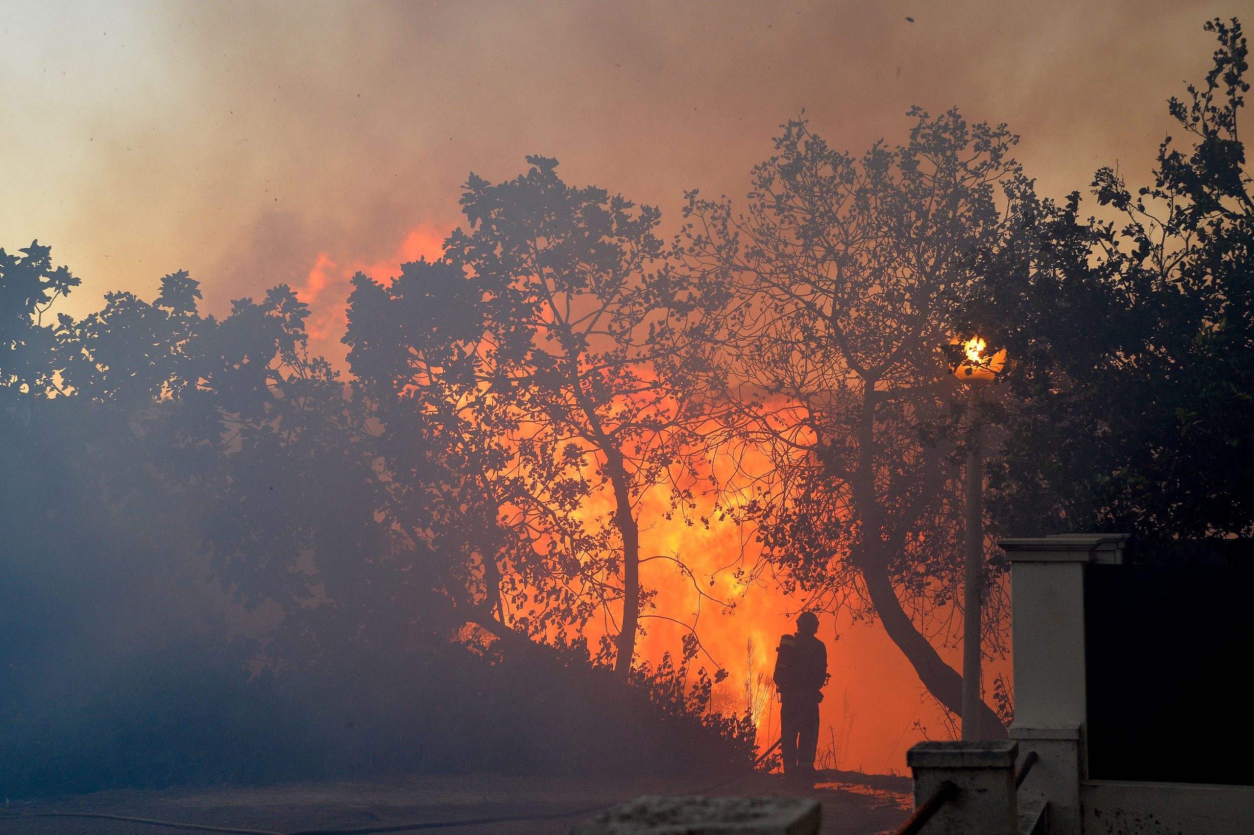 Incêndio em Mação: Celeste está há três dias sem dormir, mas “sempre com Deus na boca”