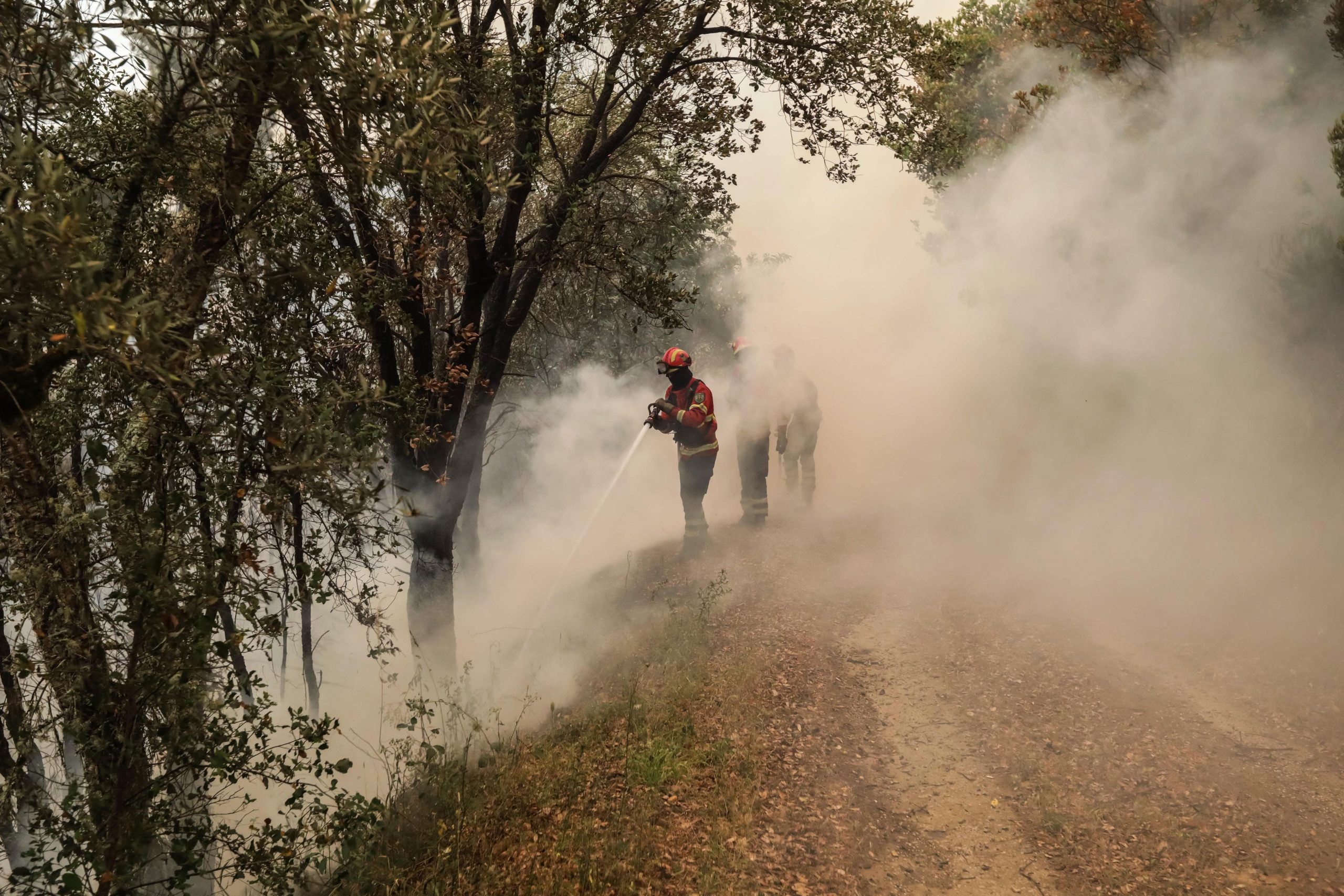 Incêndios: Sirene de antiga fábrica alertou aldeia em Góis para risco de fogo