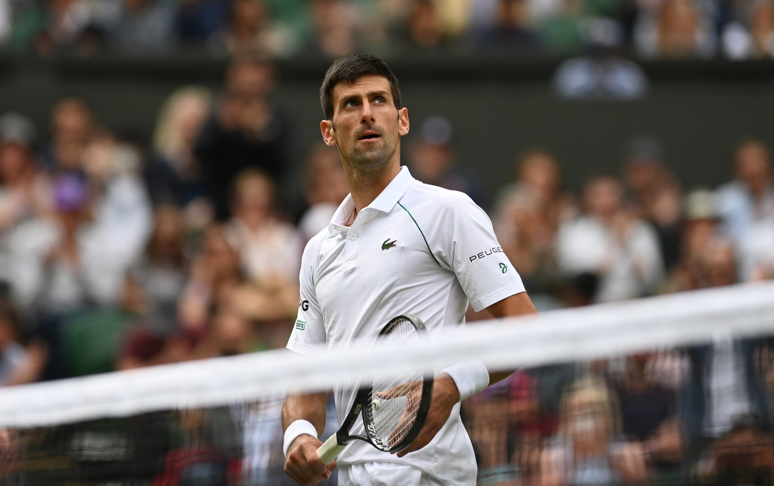 Wimbledon: Djokovic e Federer nos quartos, mas Zverev fica pelo caminho