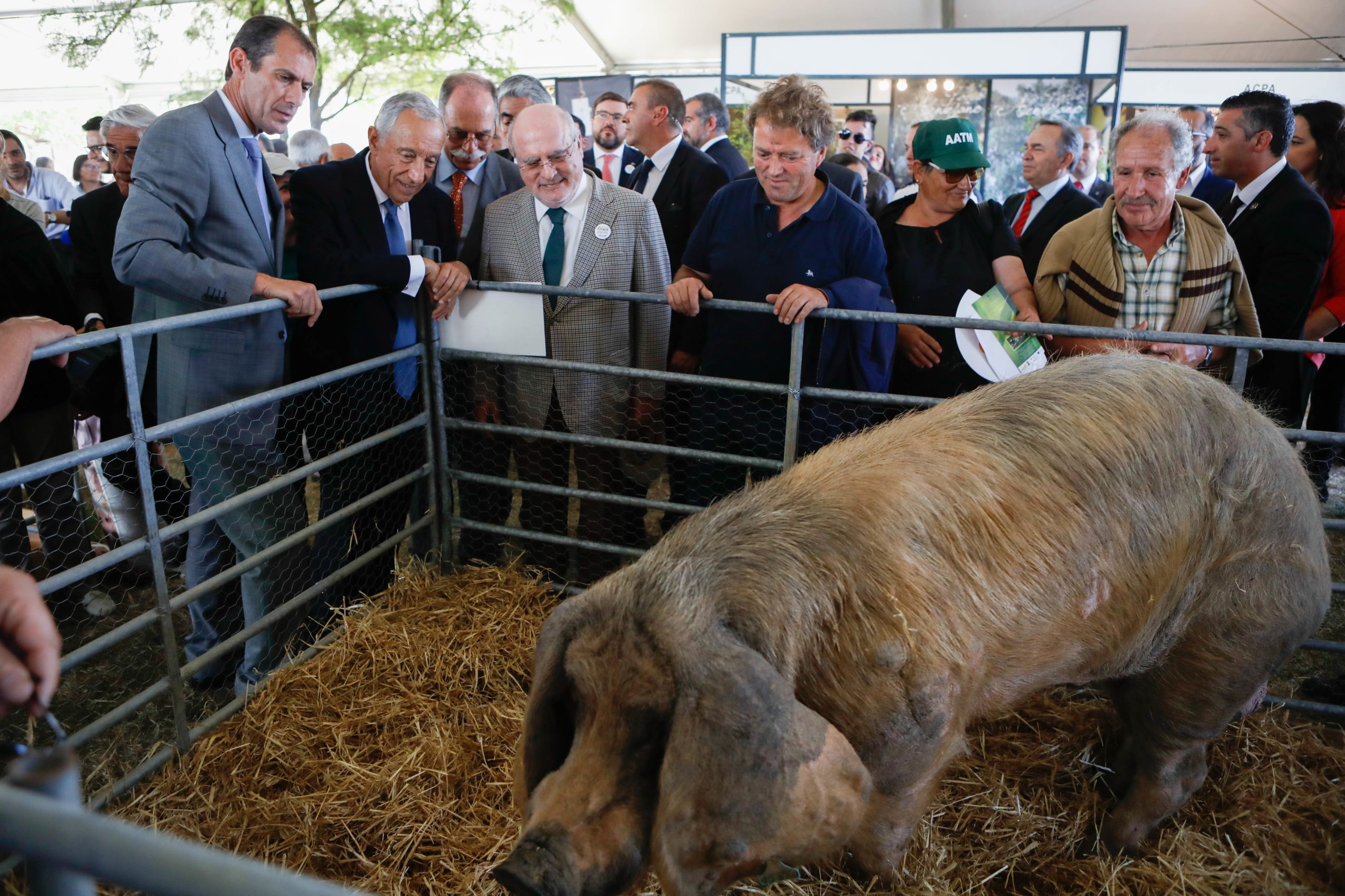 Ministro da Agricultura espera que proposta de fundos comunitários para o setor melhore
