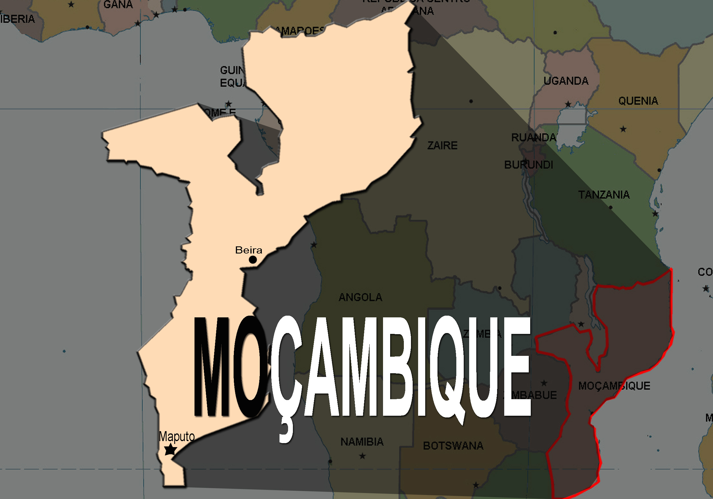 Mais 290 guerrilheiros da Renamo desmobilizados no norte de Moçambique