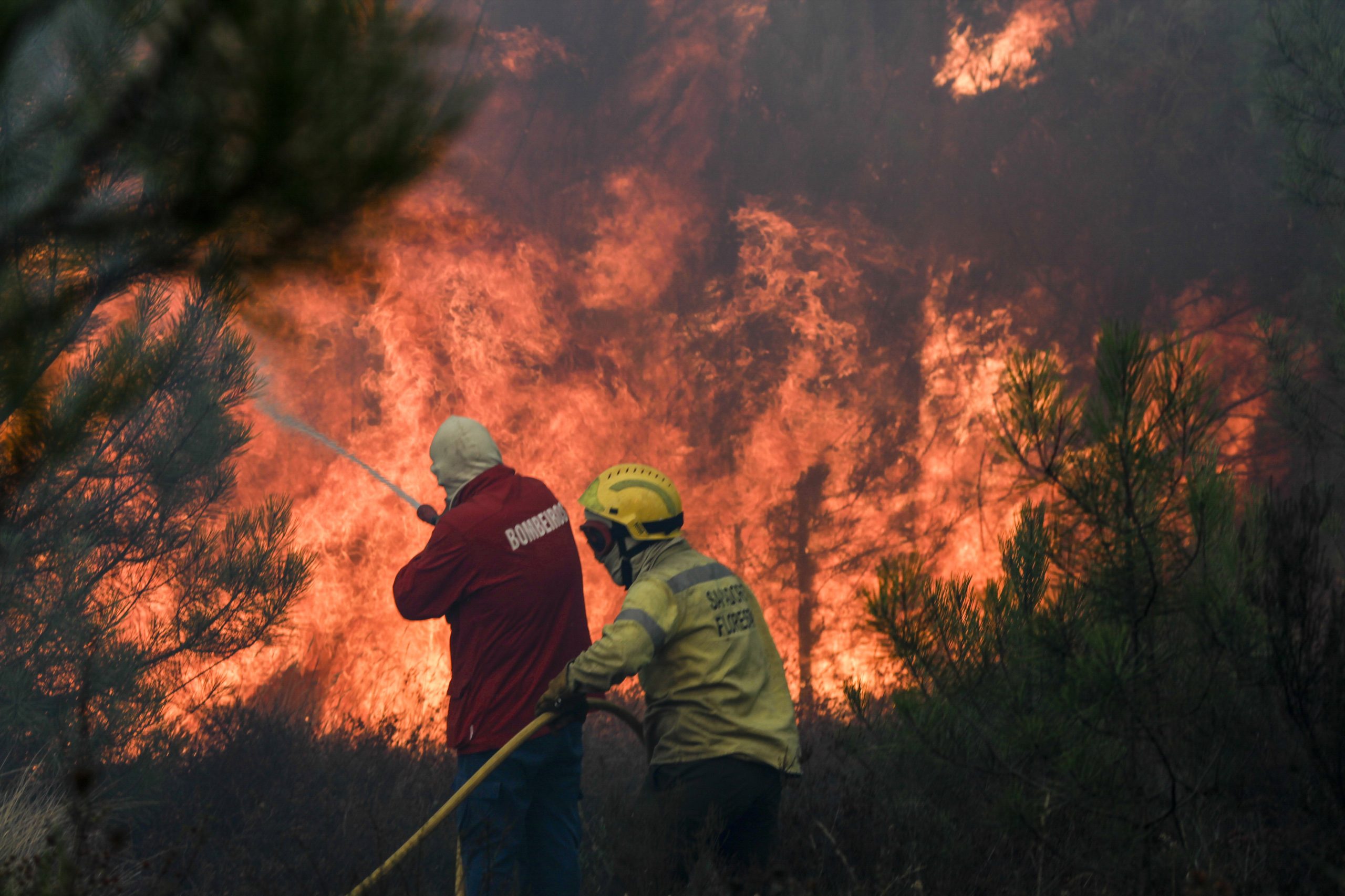 Aldeia de Ortiga é “a grande preocupação” no concelho de Mação devido a um incêndio