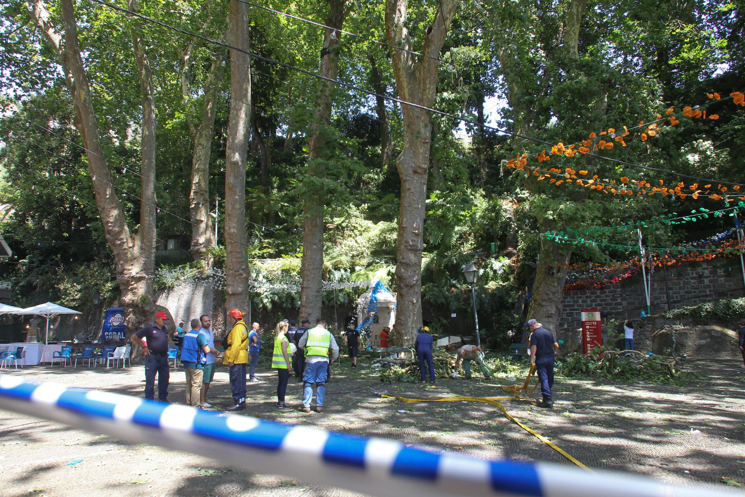 Câmara do Funchal aguarda “esclarecimentos” sobre peritagem à queda de árvore