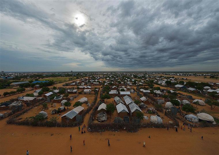 #buddy4you. Três portuguesas e uma alemã em San Diego apresentam projeto de ajuda a refugiados