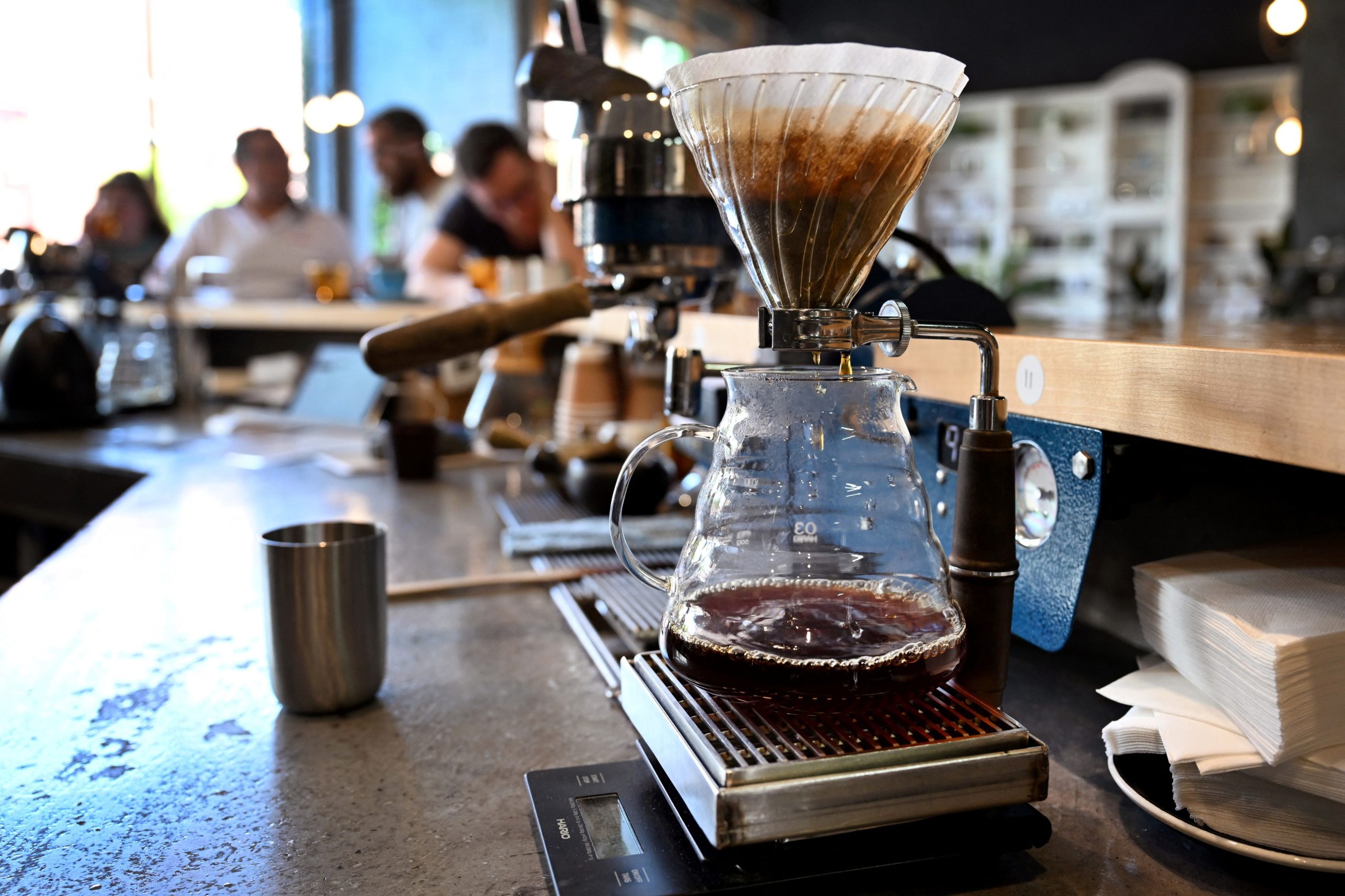 Café açoreano prepara caminho para ser produto com denominação de origem protegida