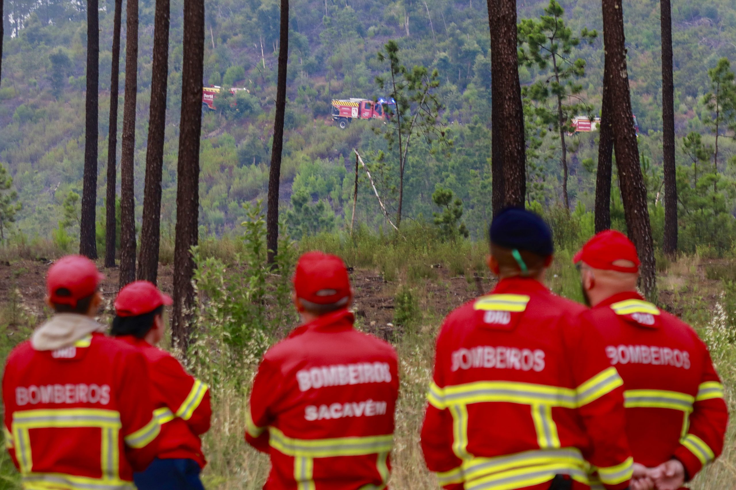 Incêndio no Alandroal. Fogo dado como controlado durante a madrugada