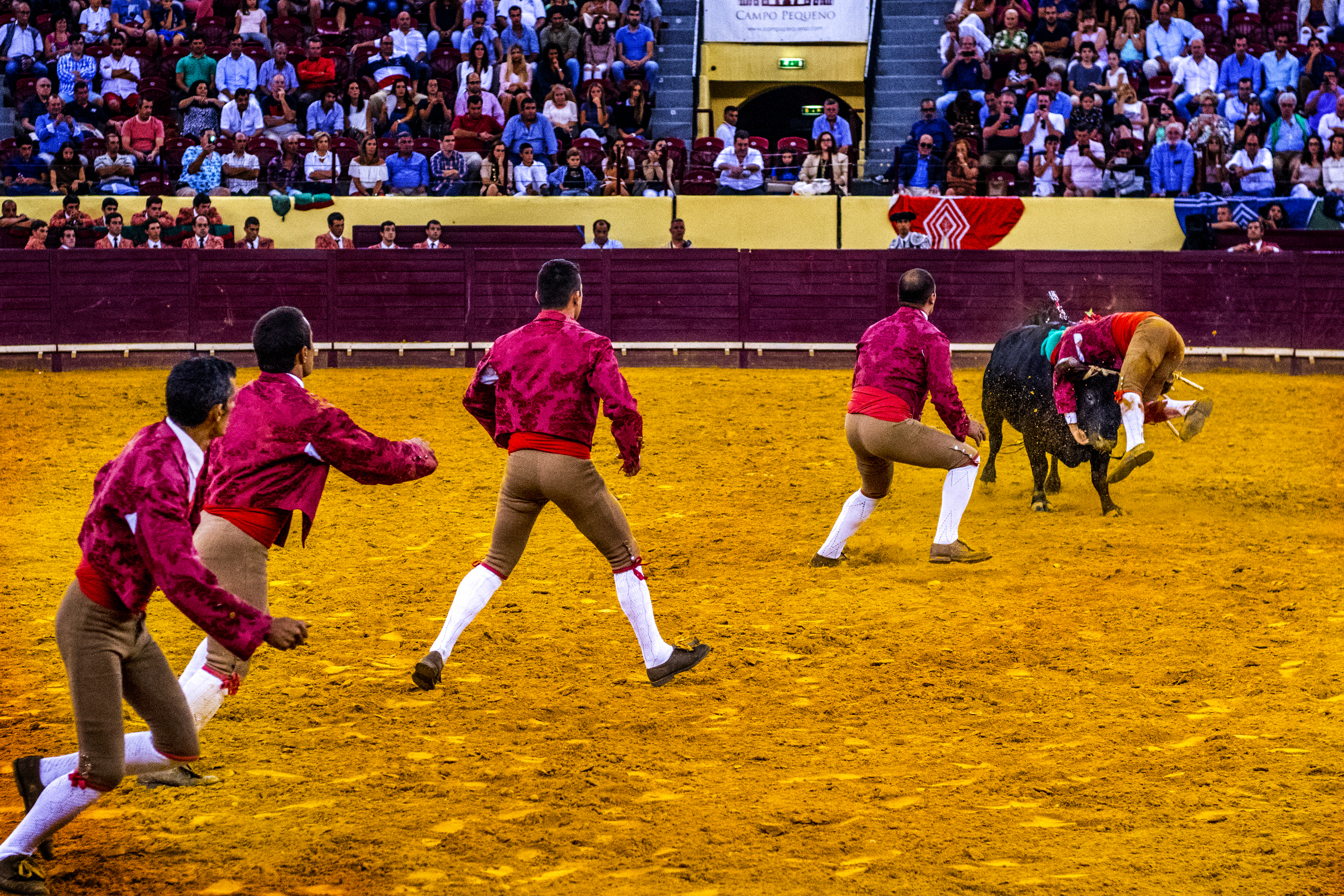 Ainda a polémica dos apoios estatais à tauromaquia: uma outra visão