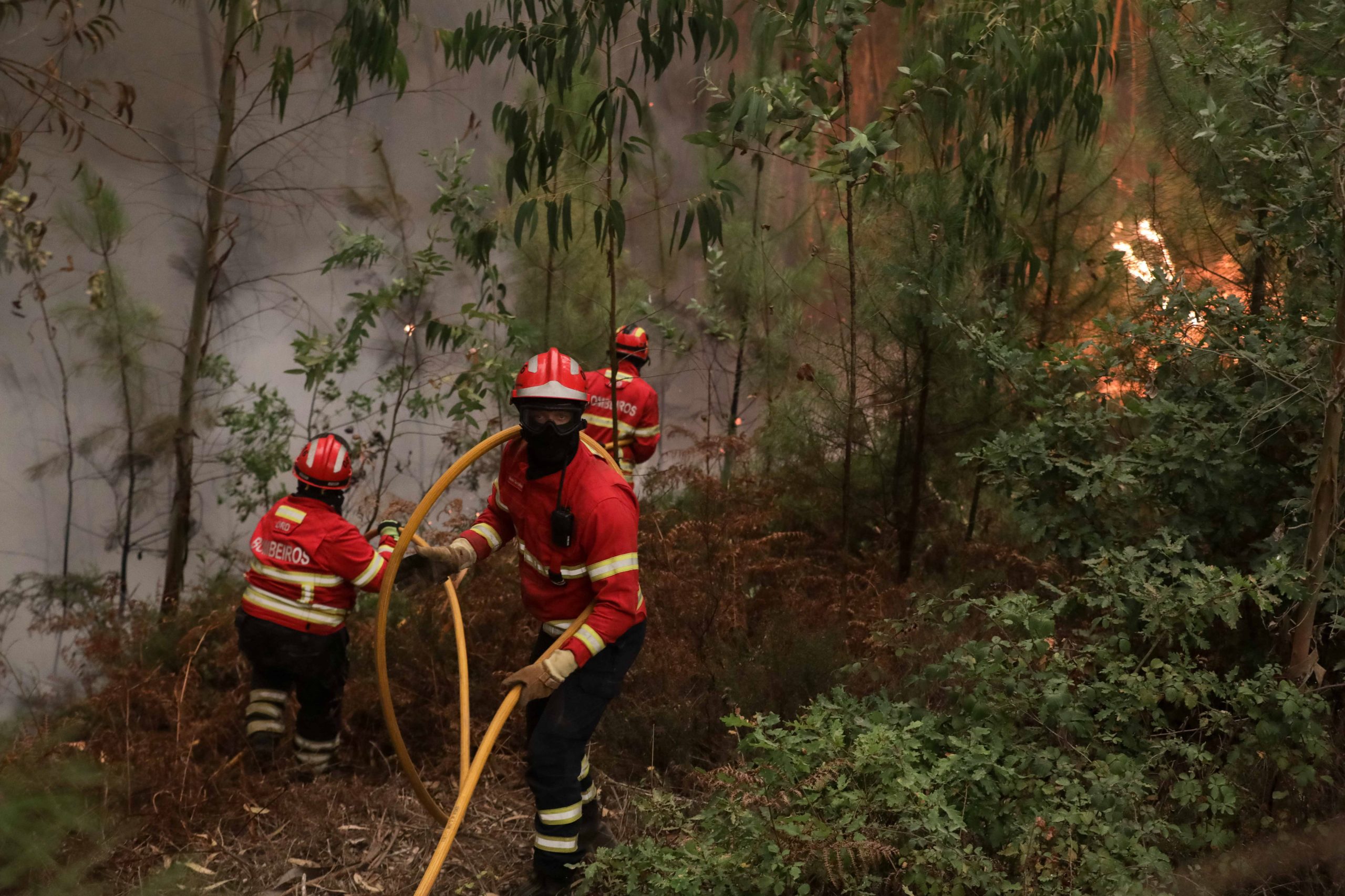 Empresa de móveis “renasce das cinzas” em Mira com ajuda de fornecedores, clientes e vizinhos