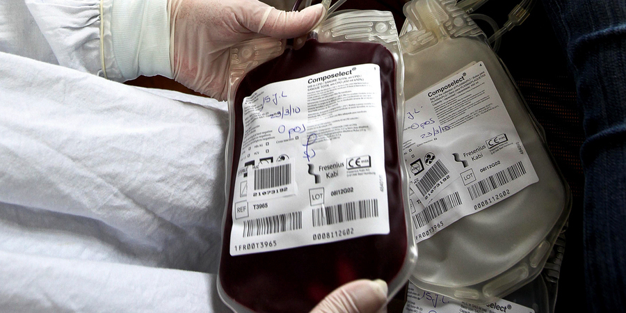 Atrasos nos apoios do Instituto do Sangue condicionam associações