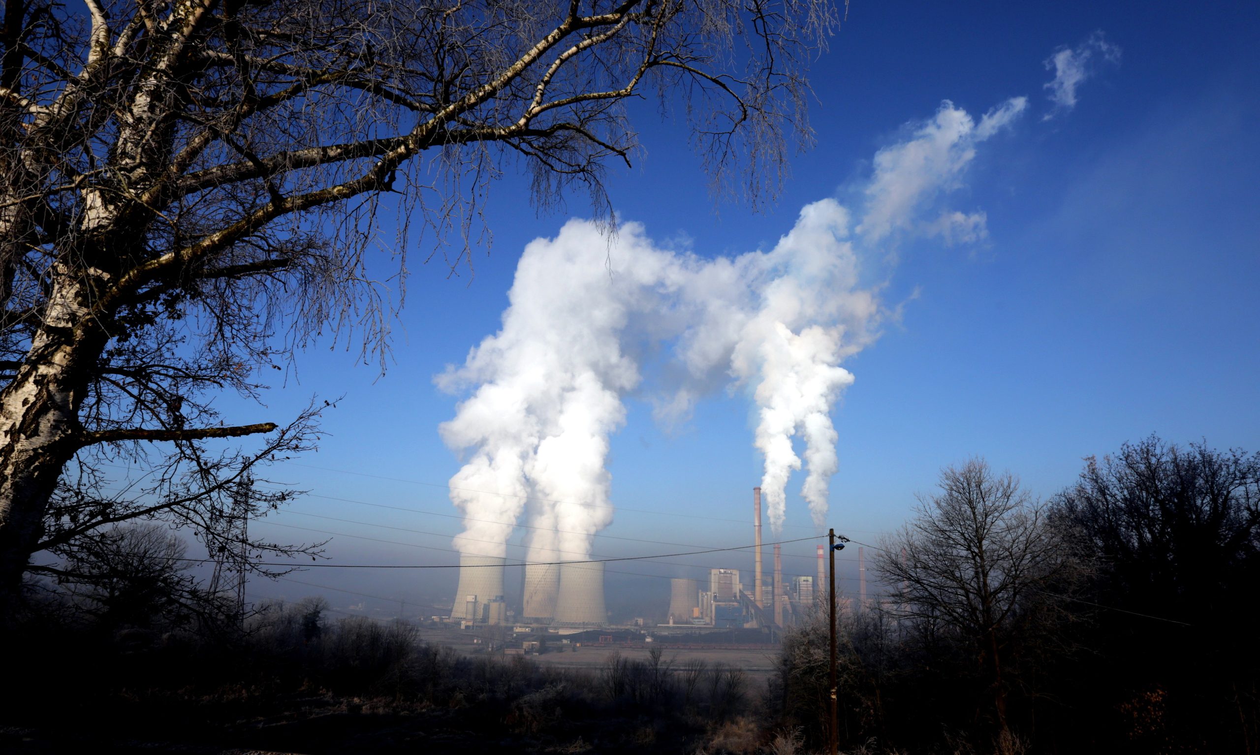 15 organizações internacionais comprometeram-se a reduzir a zero emissões de gases poluentes
