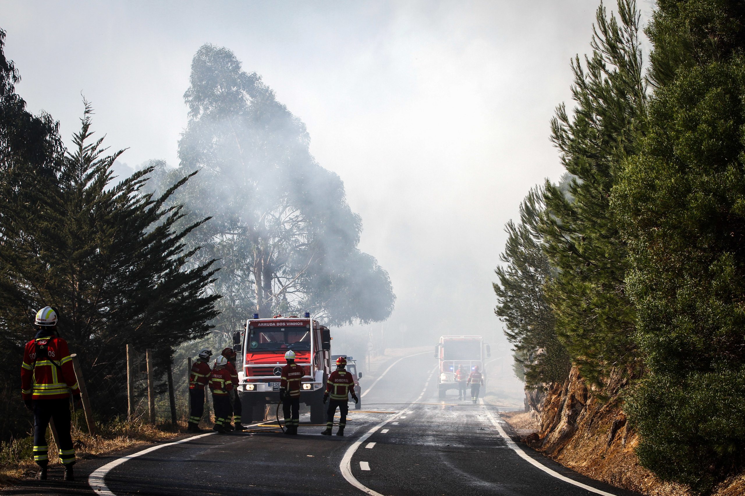 Incêndios. Rescaldo prossegue e autarquia pensa já na reflorestação em Sintra-Cascais