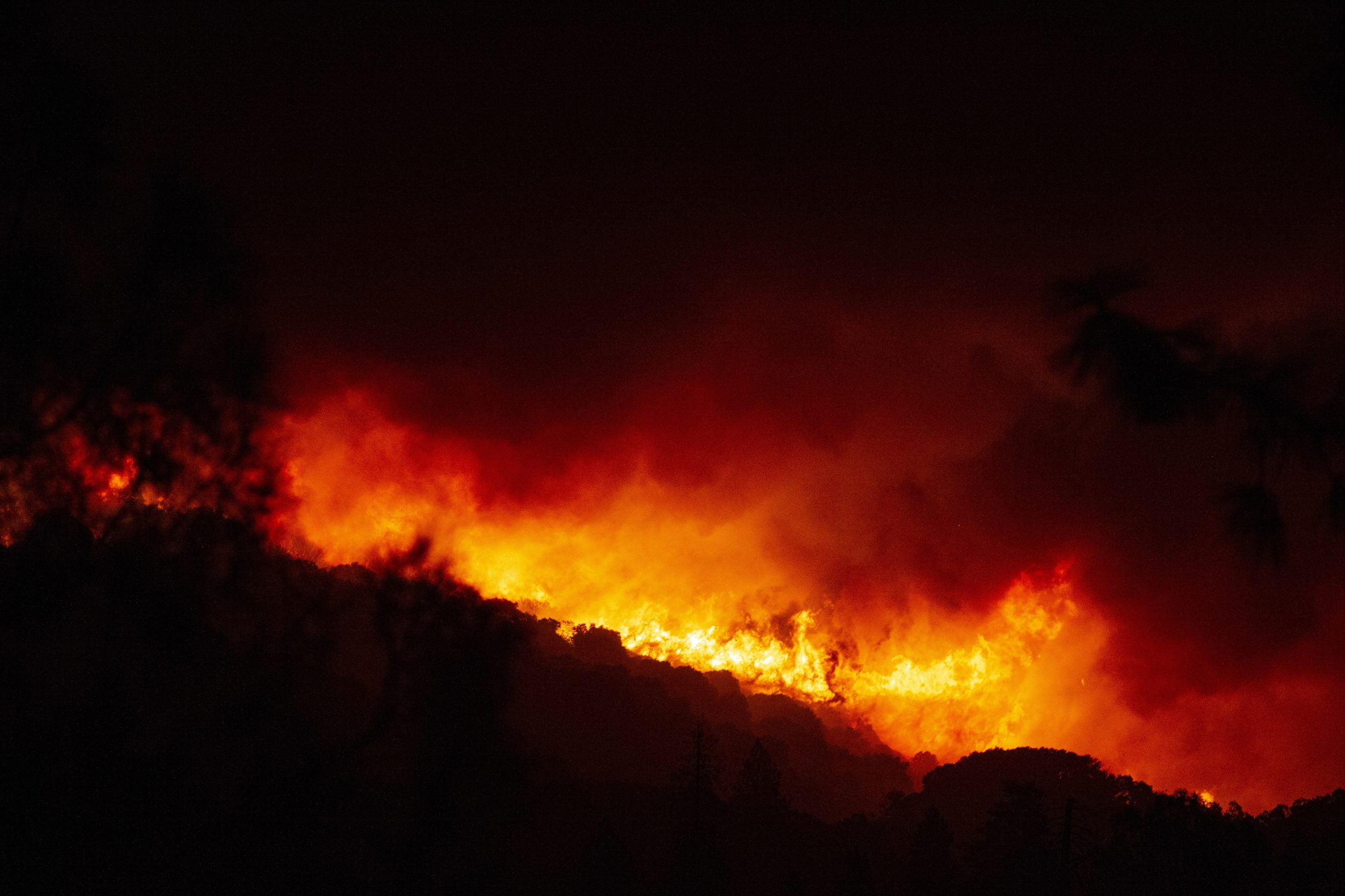 Incêndios sem precedentes no frio e húmido noroeste dos Estados Unidos da América